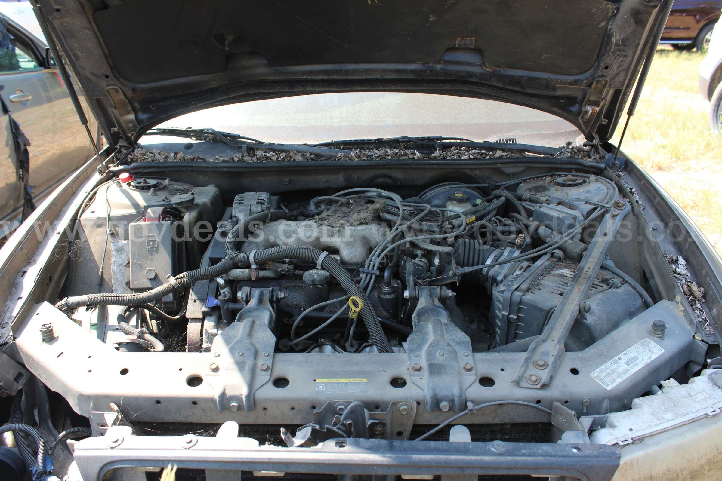 2002 Buick Century Limited Buick Century Government Surplus Auction - Photo #4