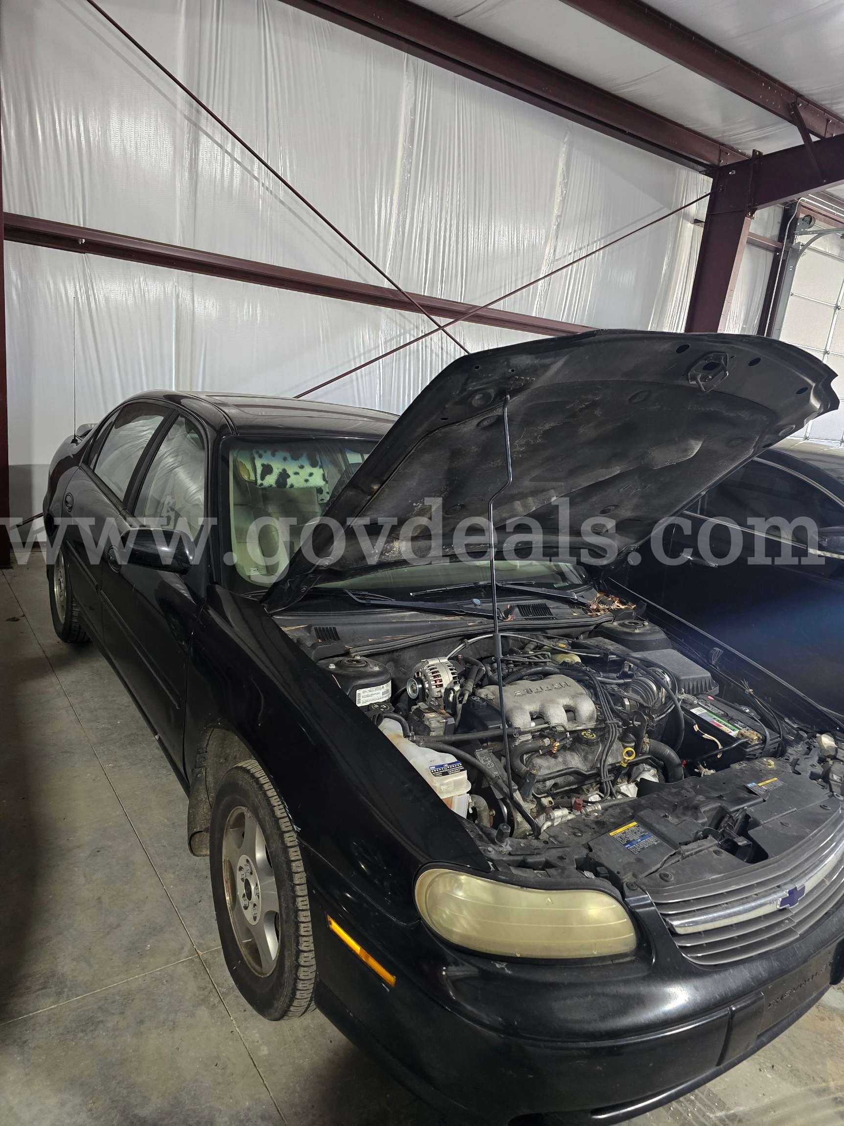2002 Chevrolet Malibu Chevrolet Malibu Government Surplus Auction - Photo #6
