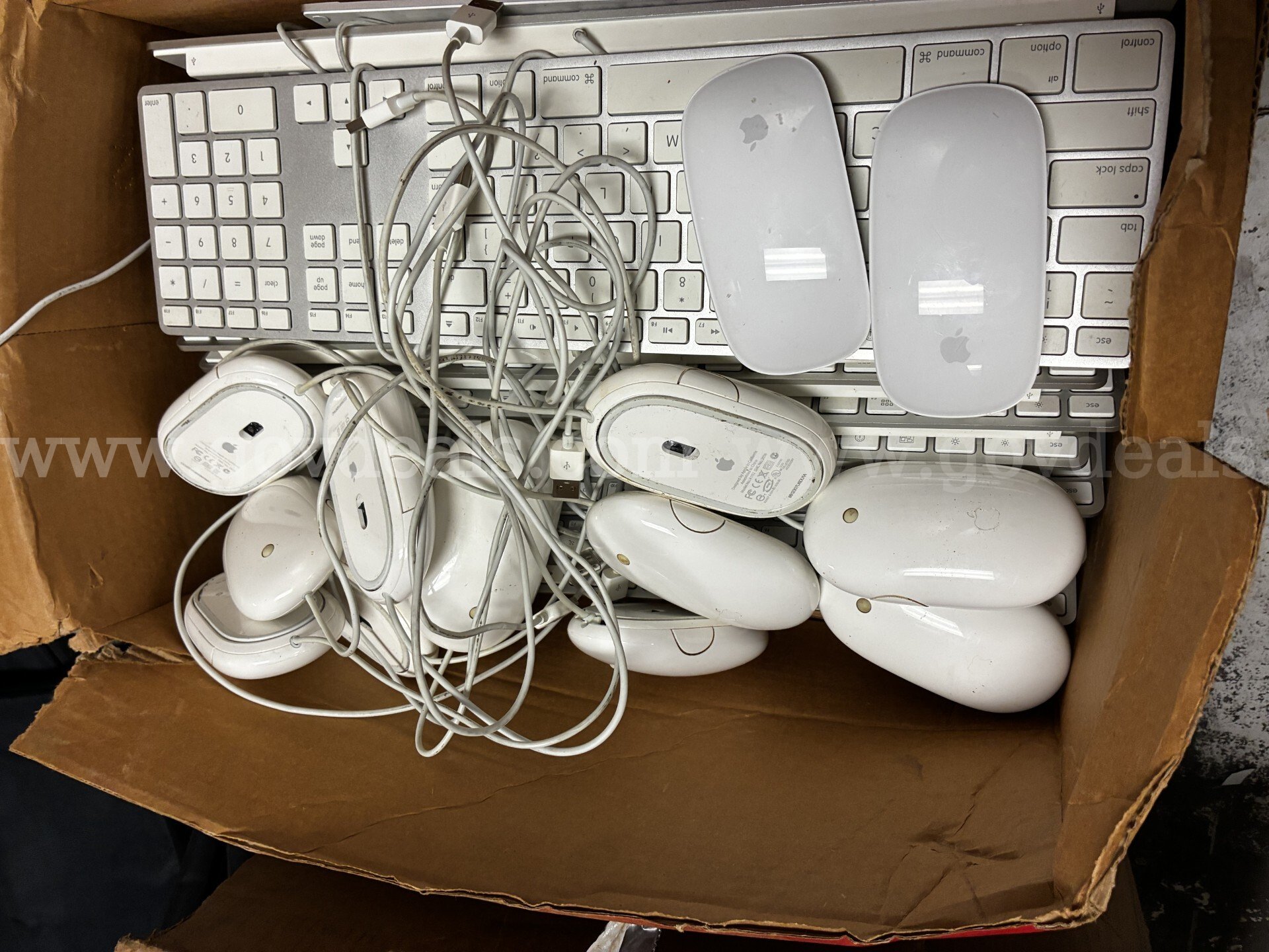 Lot of 12 Apple computer keyboards and mouse Apple  Government Surplus Auction - Photo #2