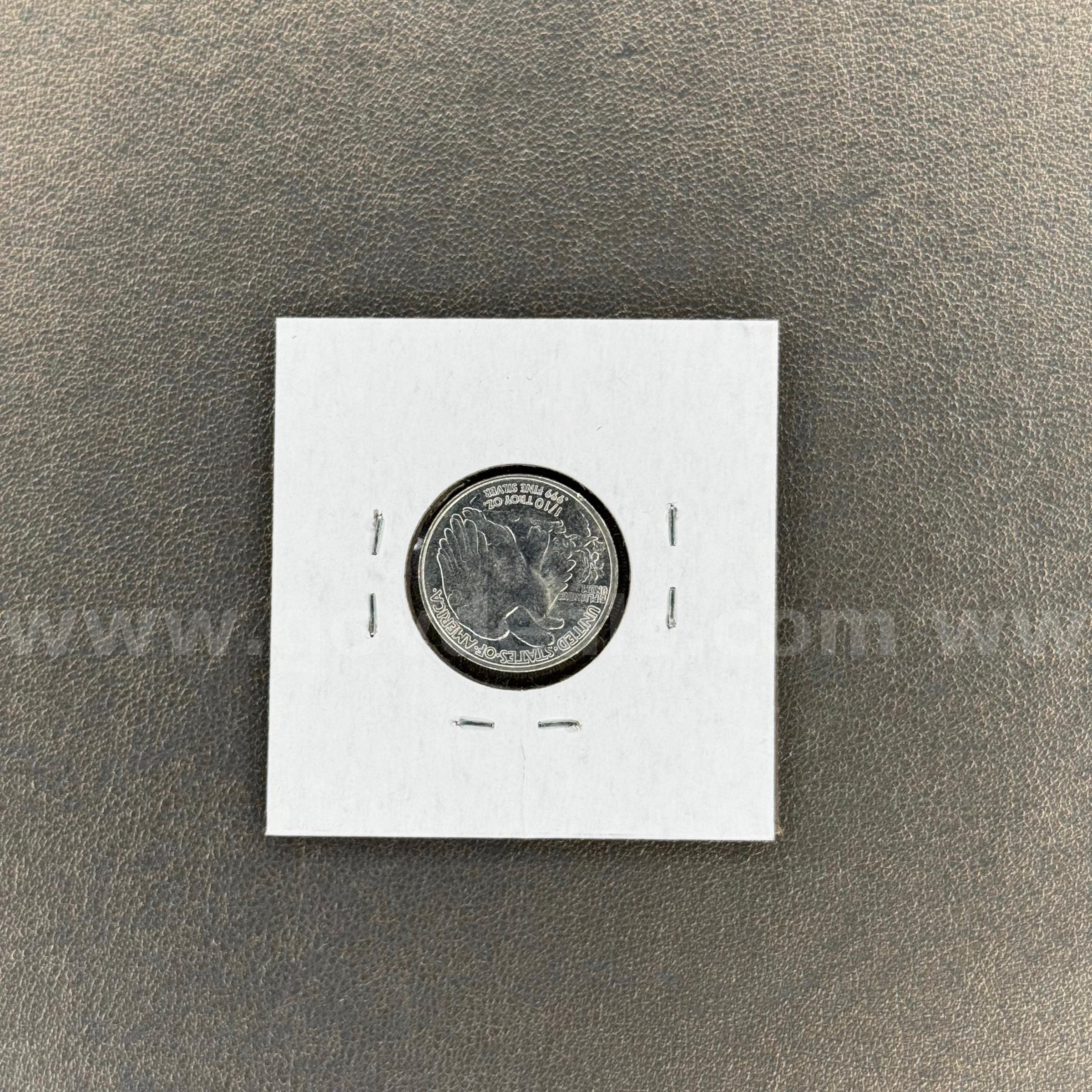 Silver Coin 1/10   Government Surplus Auction - Photo #2