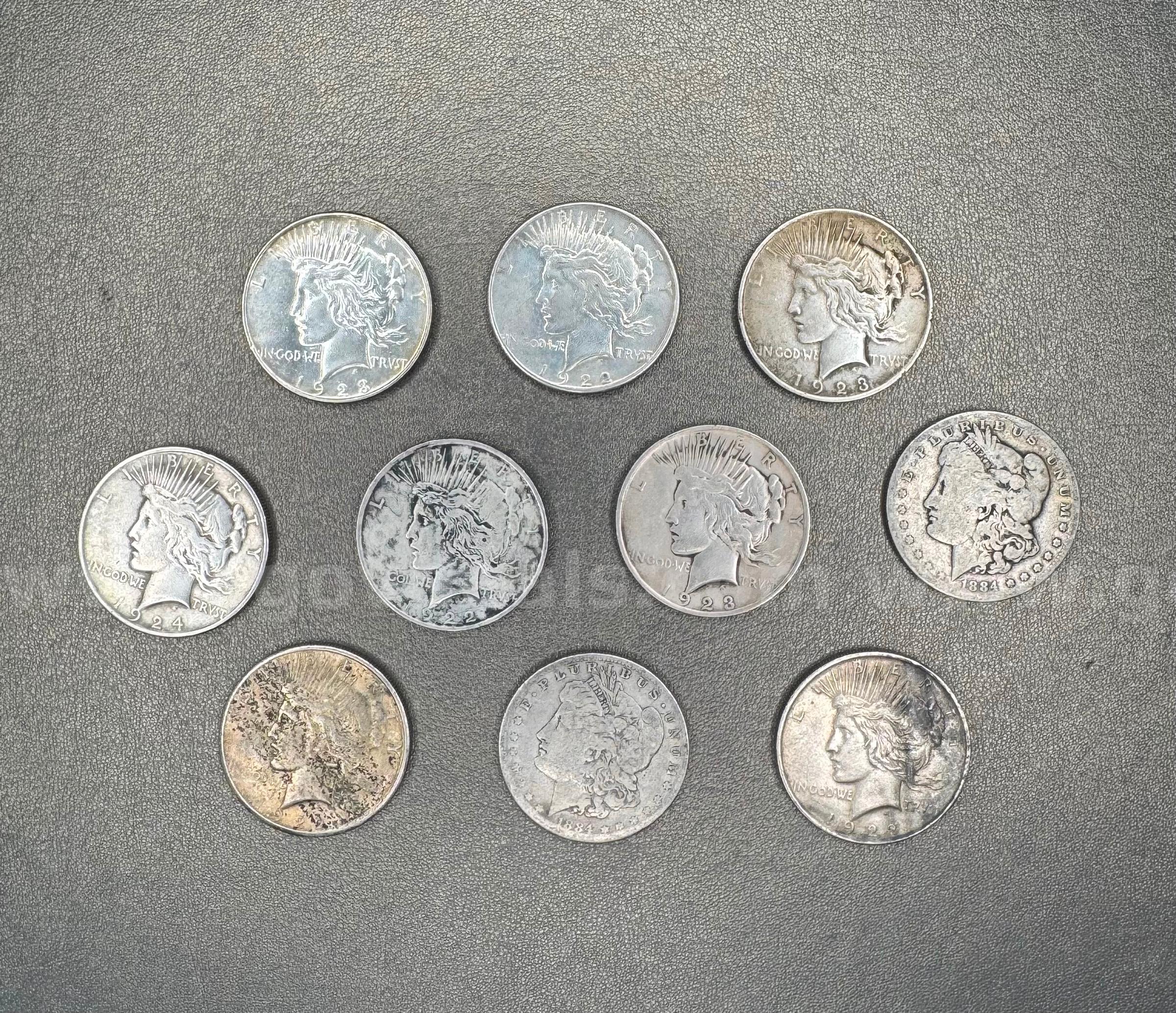 Lot of 10 Silver Dollars - Peace and Morgan   Government Surplus Auction - Primary Photo