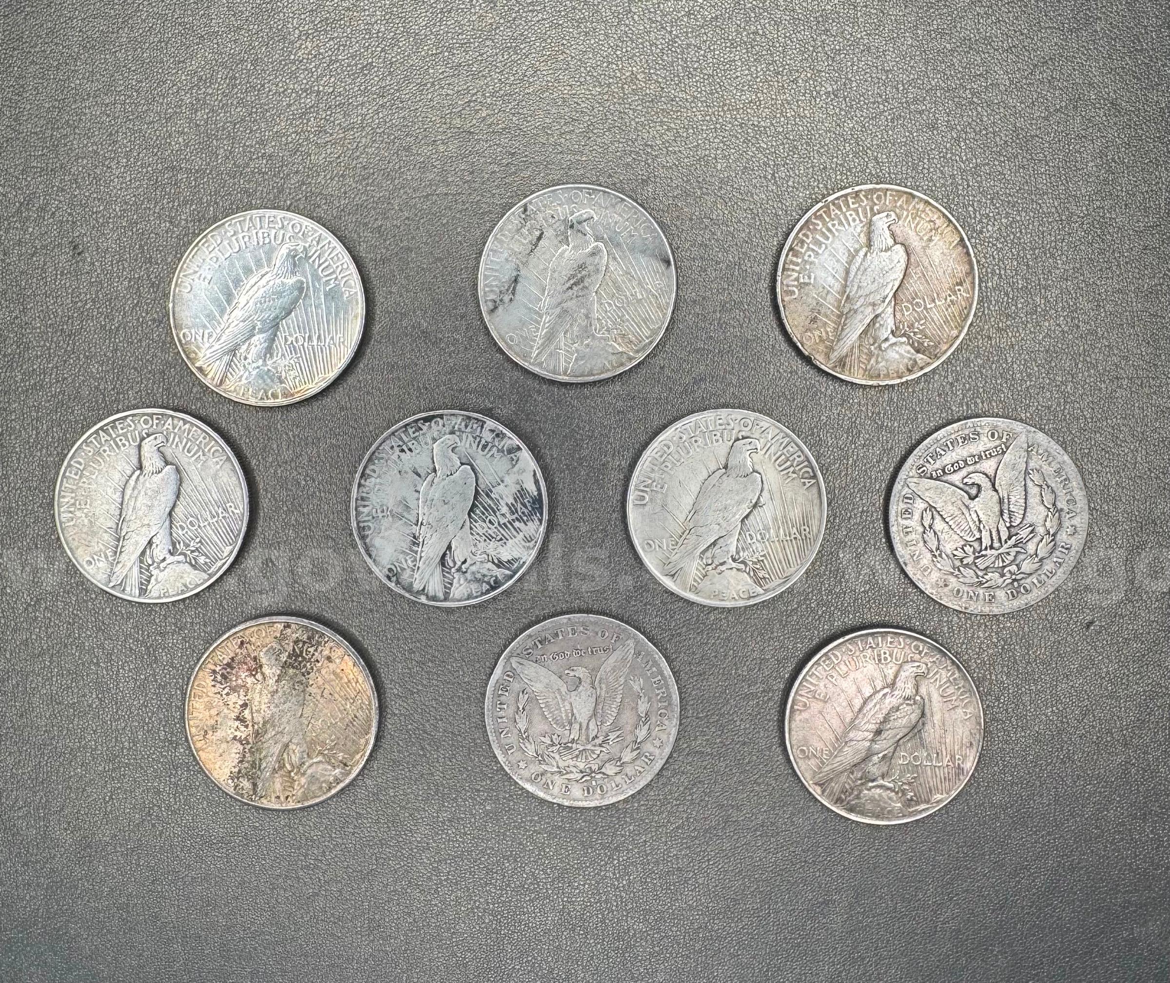 Lot of 10 Silver Dollars - Peace and Morgan   Government Surplus Auction - Photo #2