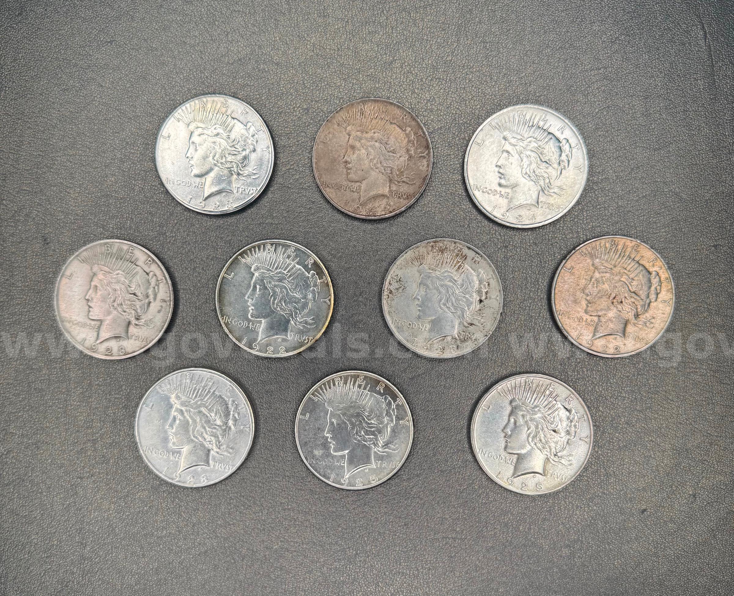 Lot of 10 Silver Dollars - Peace and Morgan   Government Surplus Auction - Primary Photo