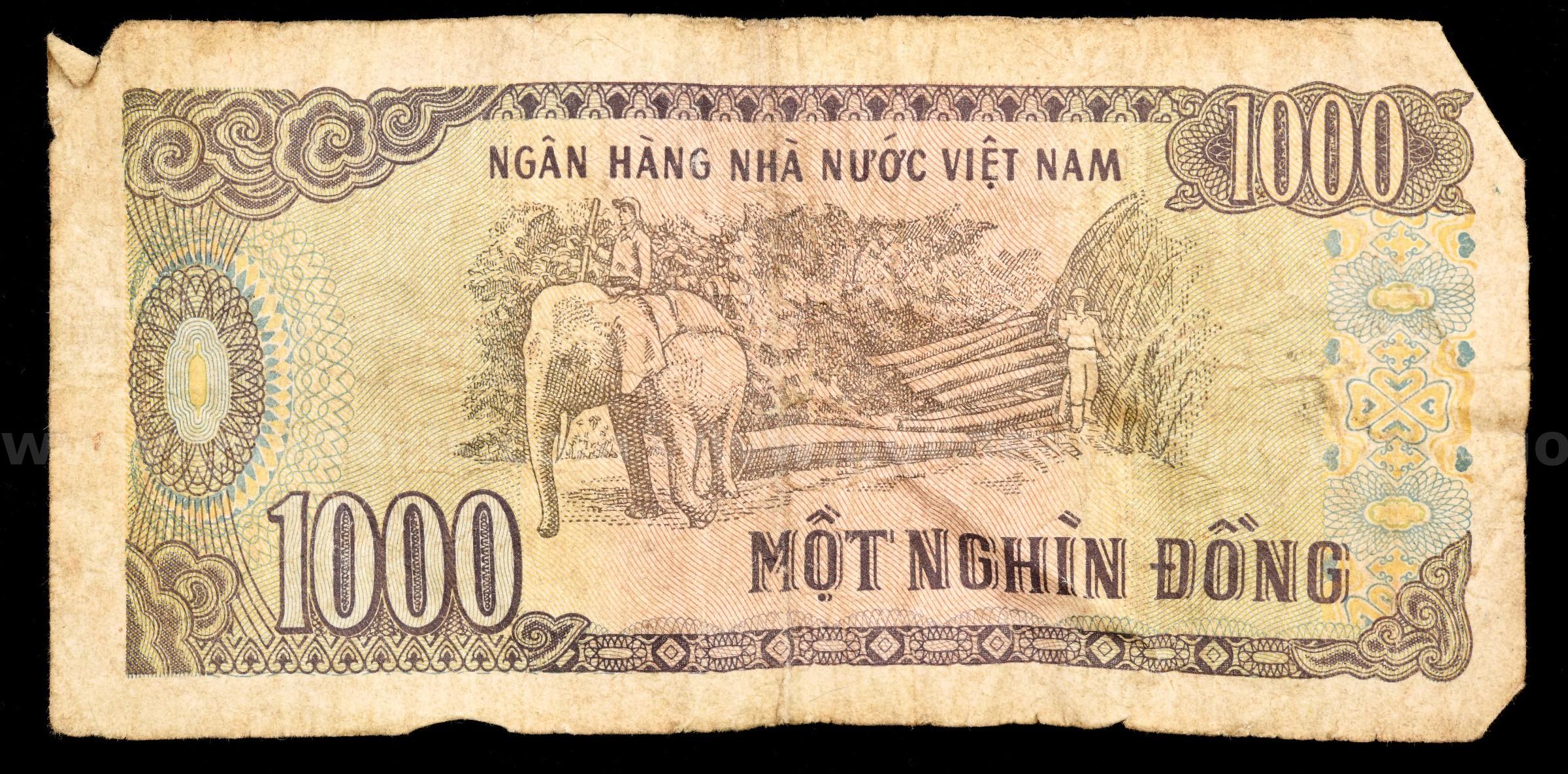 Vietnamese Dong Paper Money and Foreign Coin & Currency Lot Freightliner M2 106 Government Surplus Auction - Photo #6