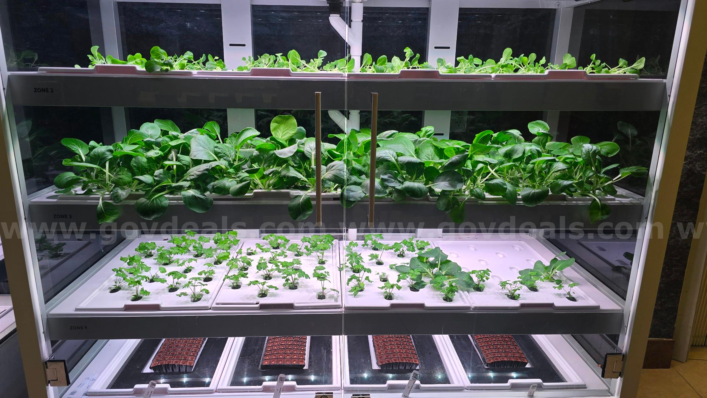 Babylon Galleri Micro Farm Units-  No. 1 of 2