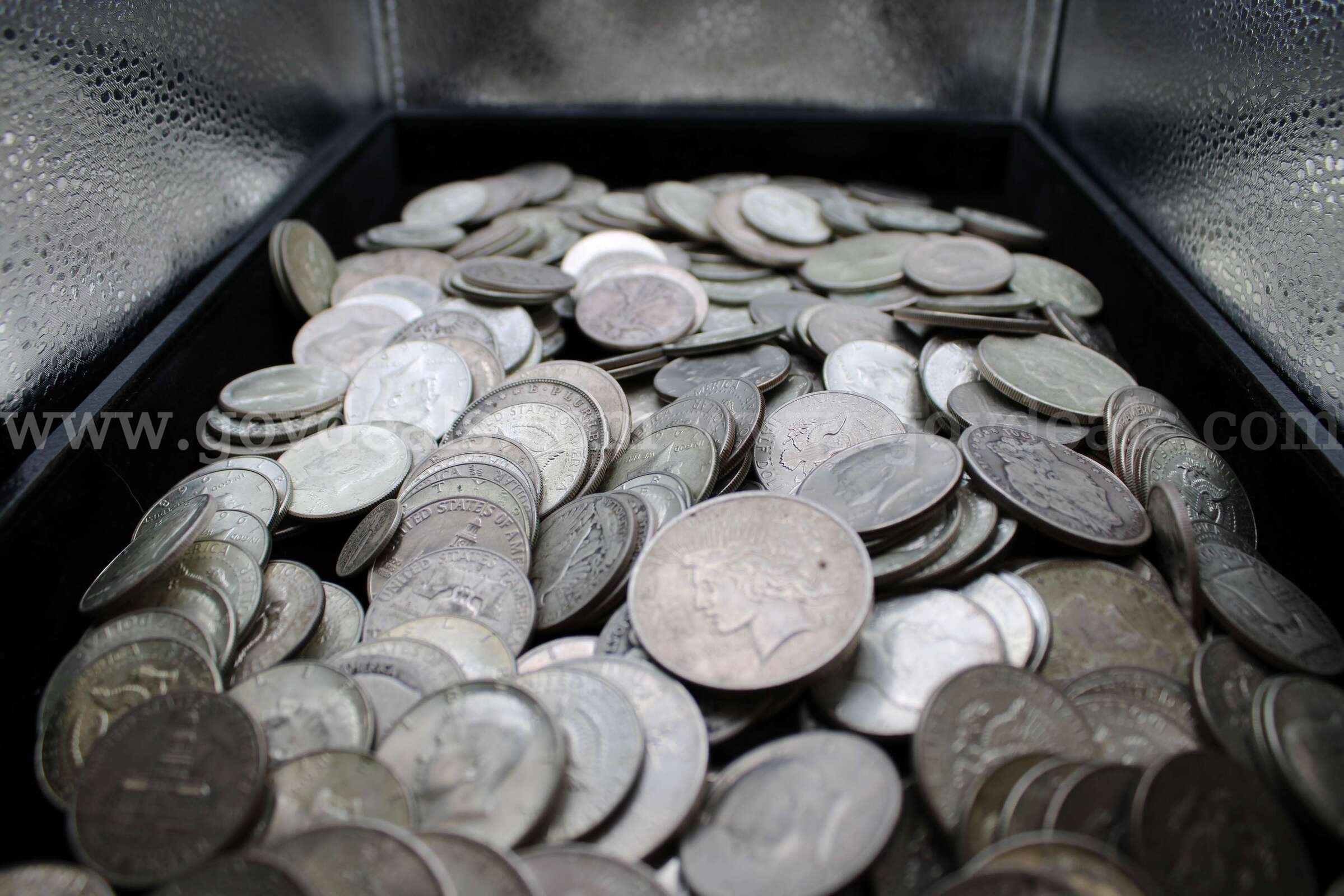 Dollar Coins (16)     Half Dollar Coins (264)   Dimes (4)    Nickel (1)  264 Government Surplus Auction - Photo #2