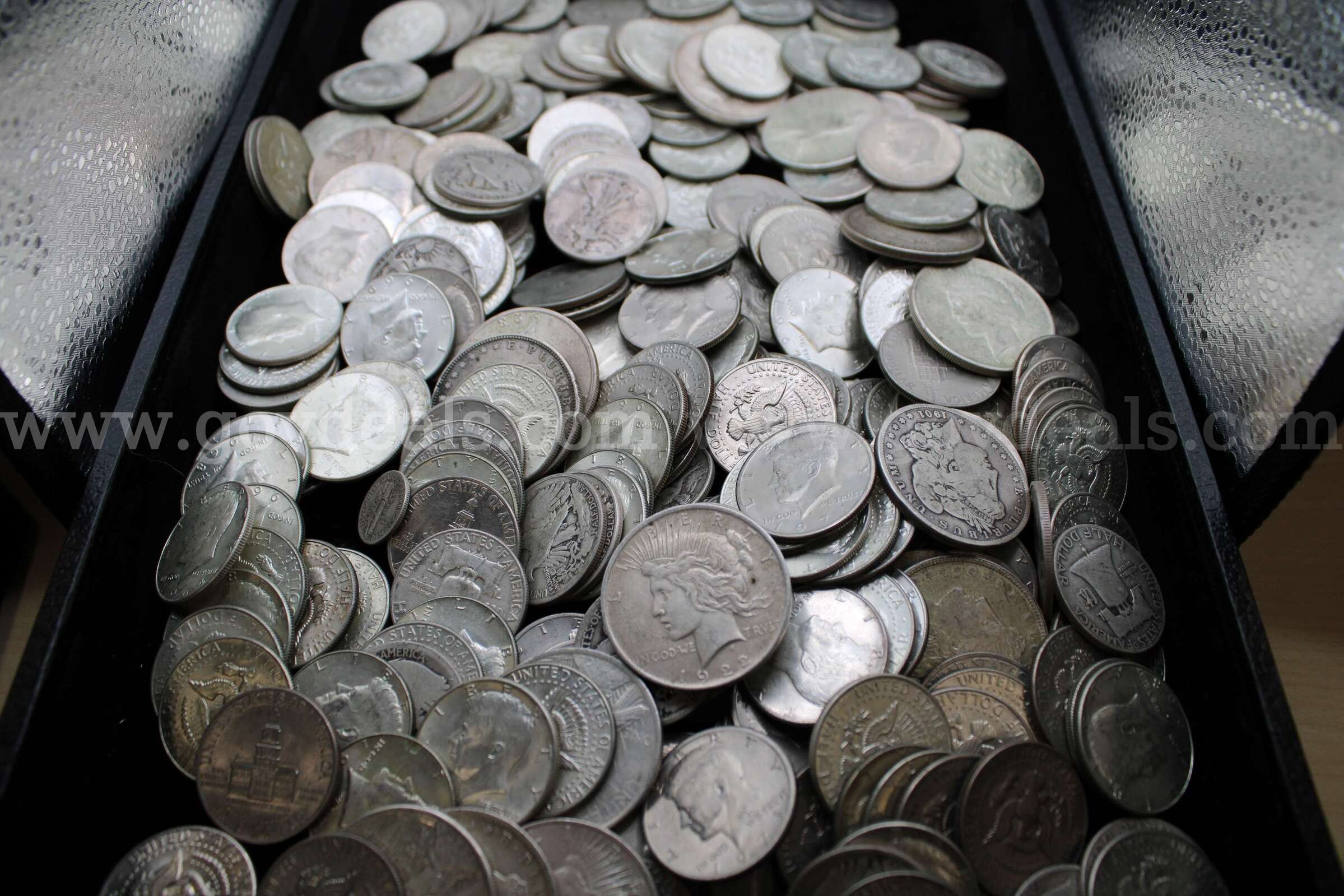 Dollar Coins (16)     Half Dollar Coins (264)   Dimes (4)    Nickel (1)  264 Government Surplus Auction - Photo #3