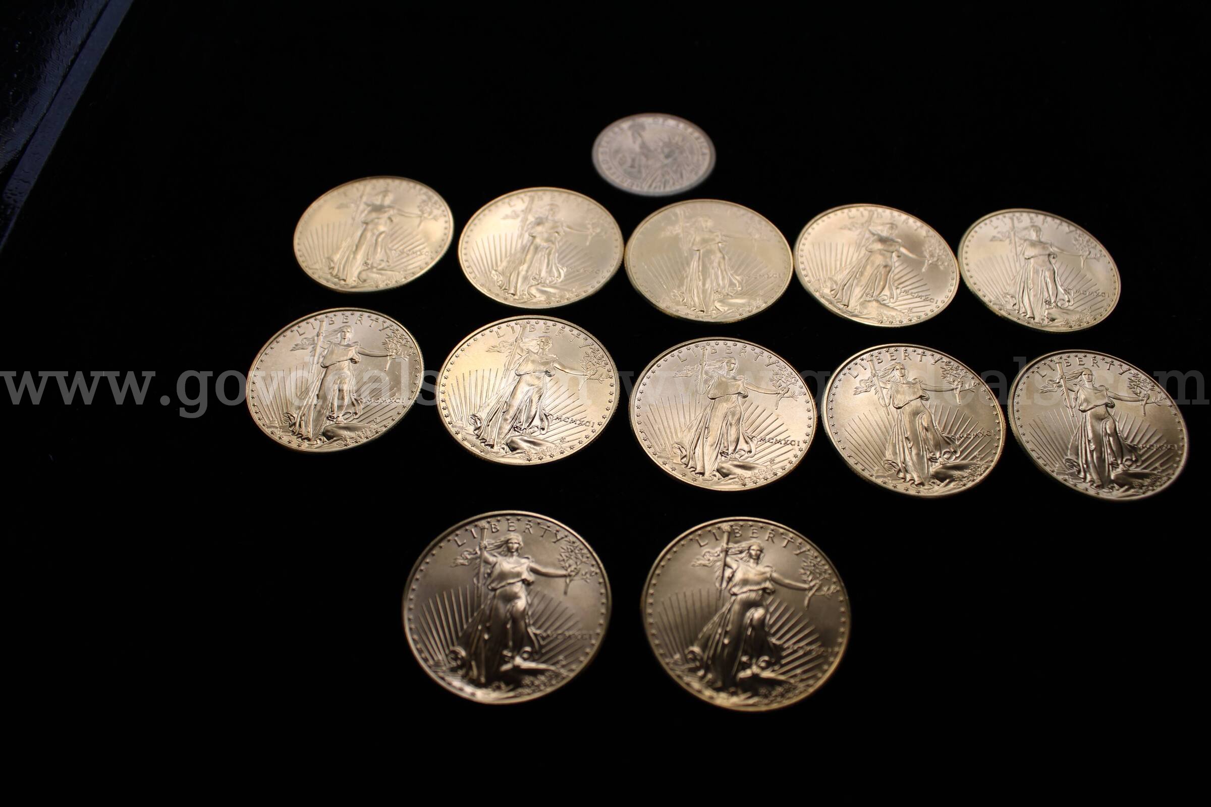 METAL BAR (1); $1 COIN (1); $25 COIN (4); $50 COIN (12)   Government Surplus Auction - Photo #3