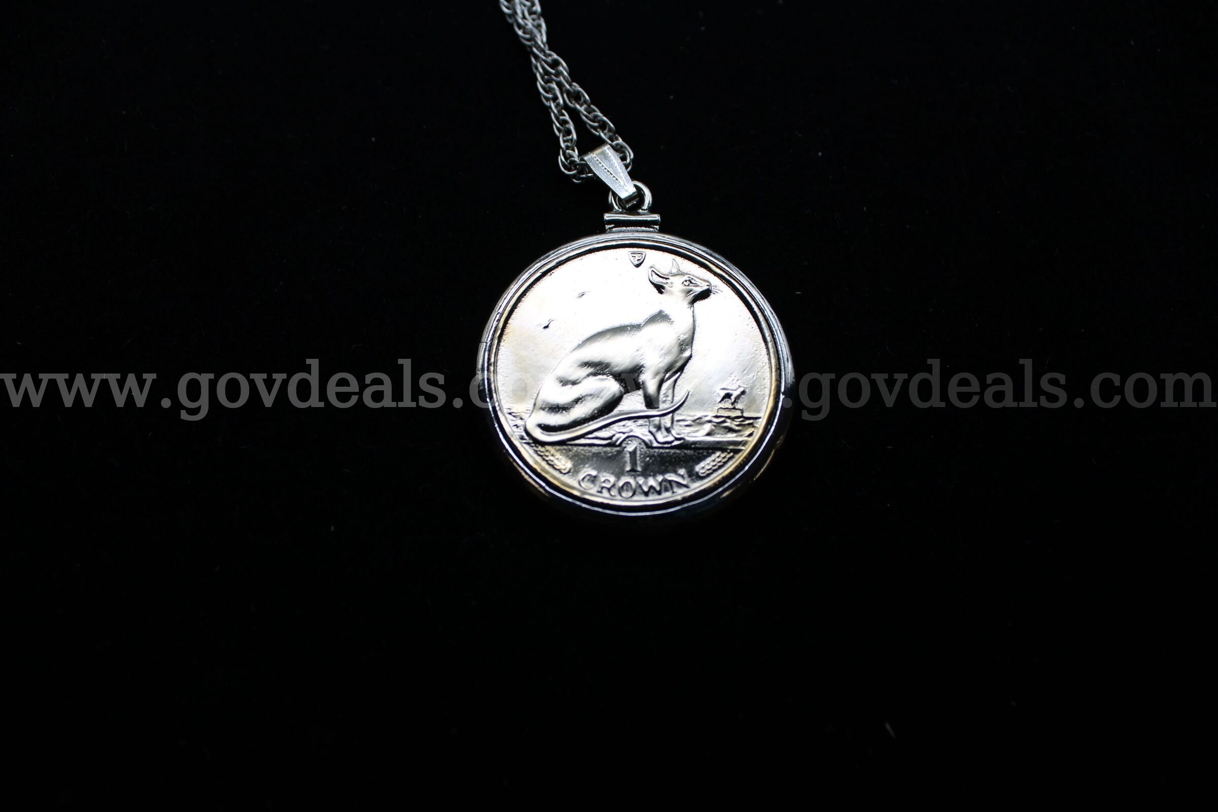 PROOF SET (1); NECKLACE WITH COIN (1); MISC COIN (1)   Government Surplus Auction - Photo #3