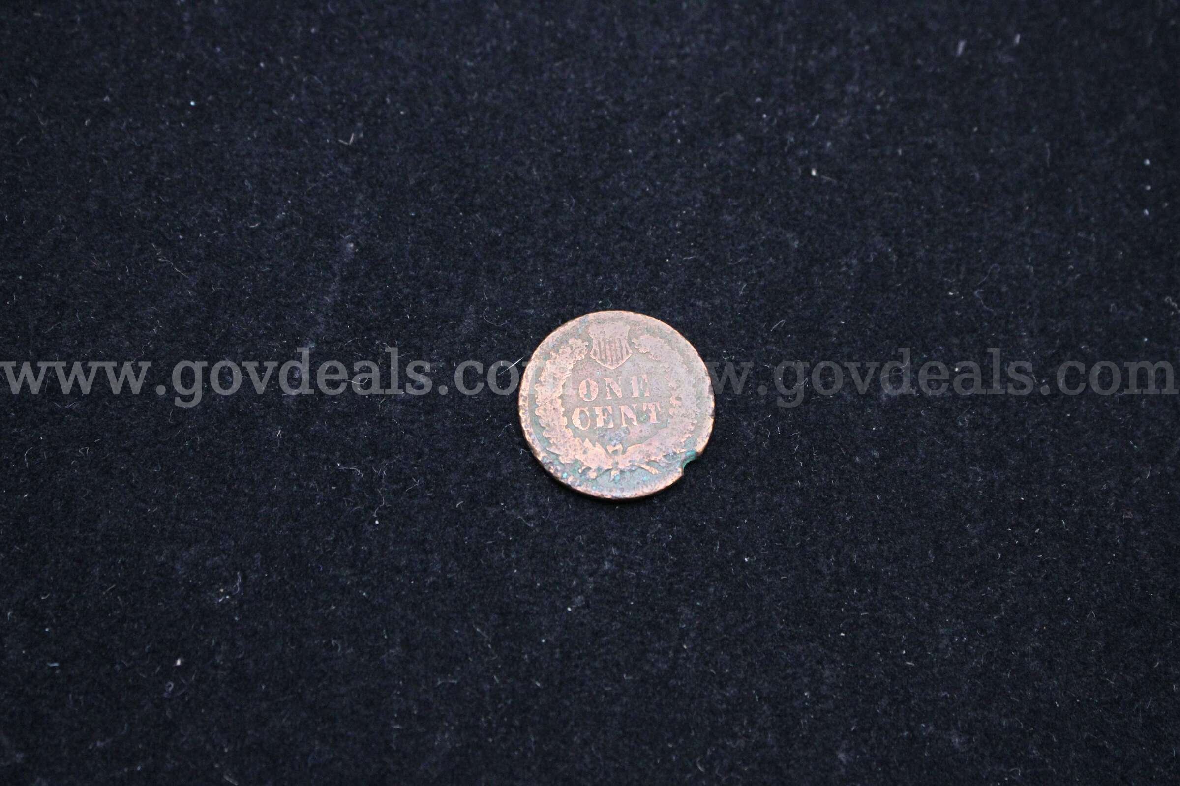PENNY (1)   Government Surplus Auction - Photo #2