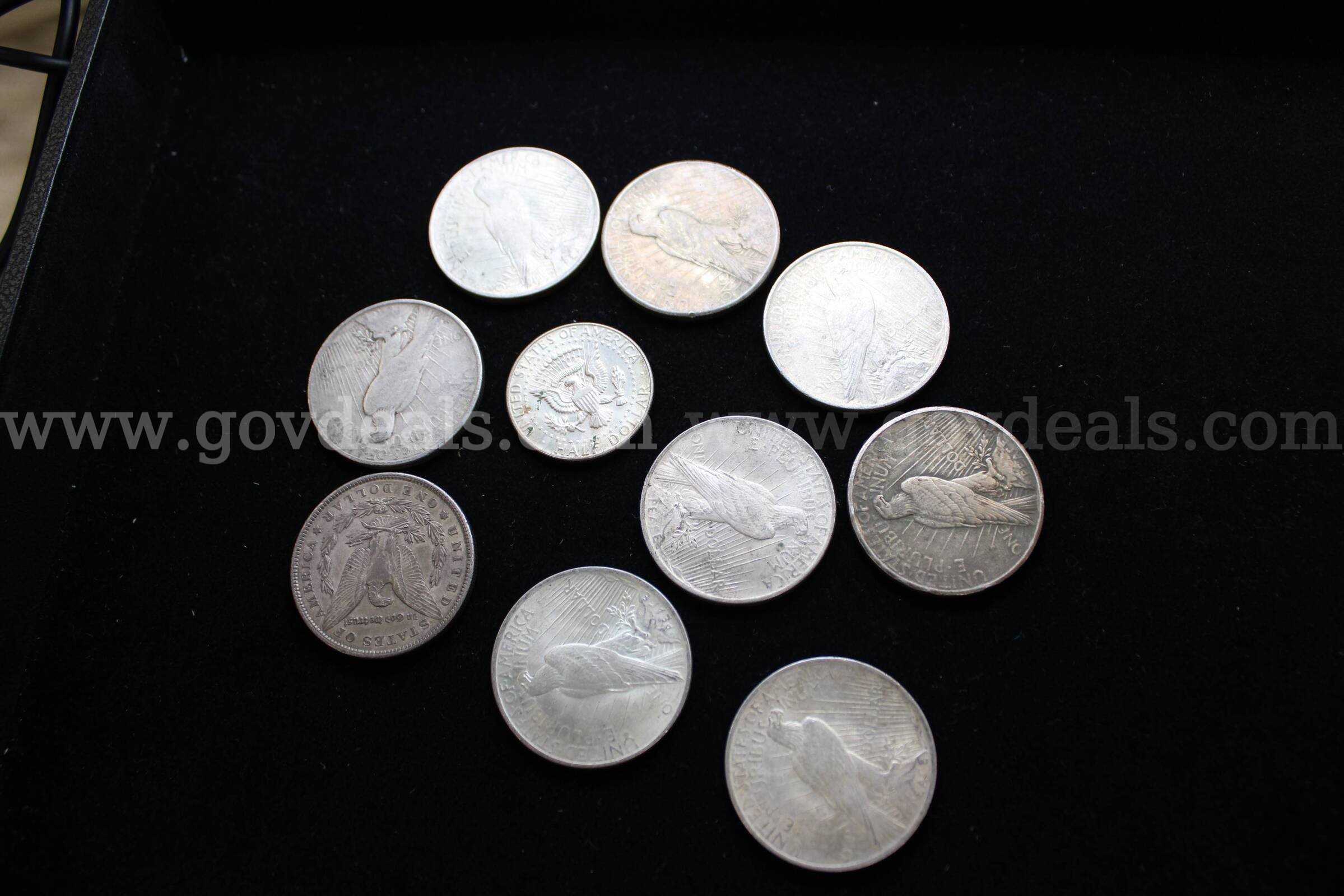 $1 COIN (9); HALF $ (1)   Government Surplus Auction - Photo #2