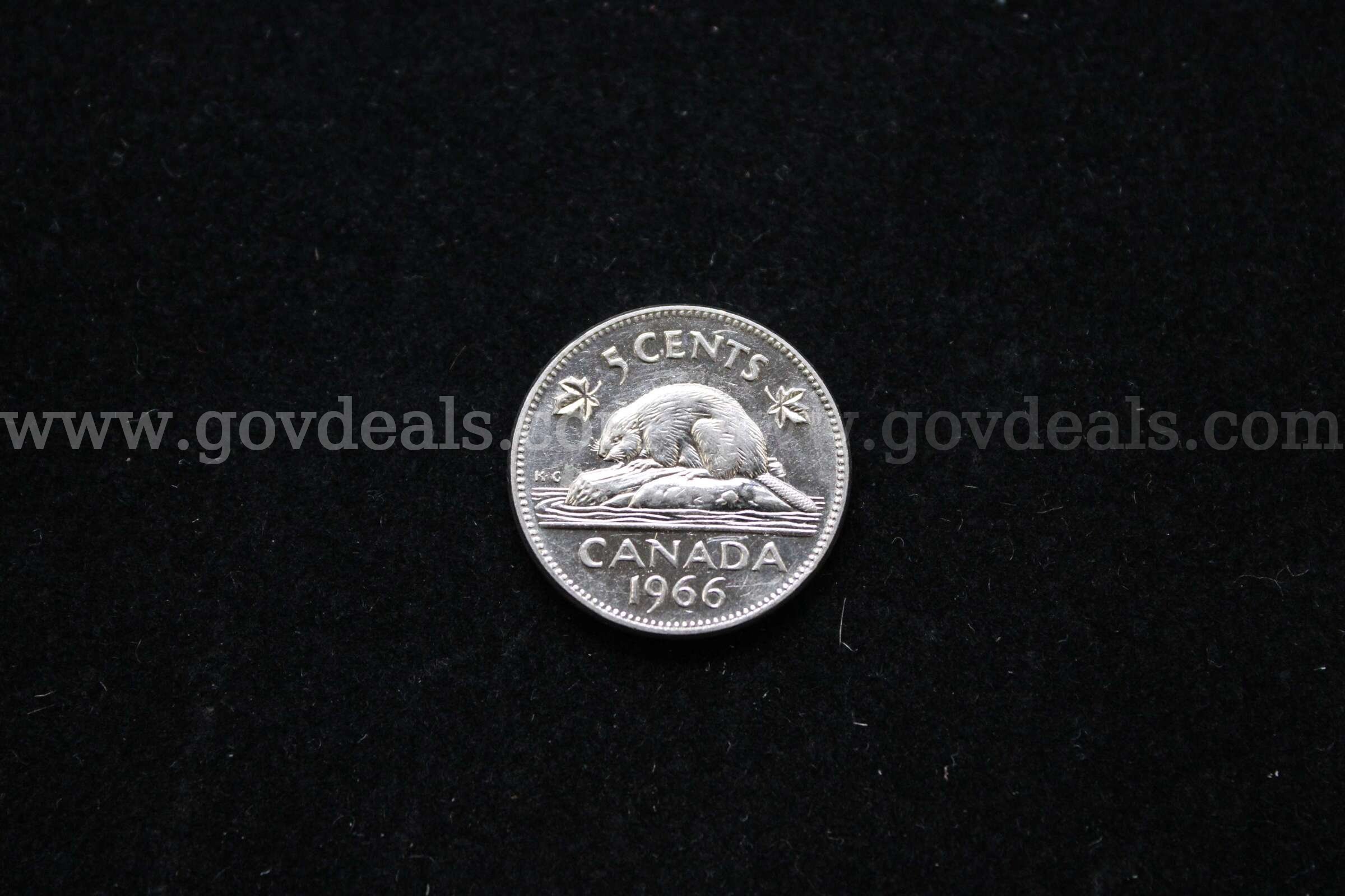 HALF $ (14); DIME (1); PENNY (100); FOREIGN COIN (1)  100 Government Surplus Auction - Photo #4