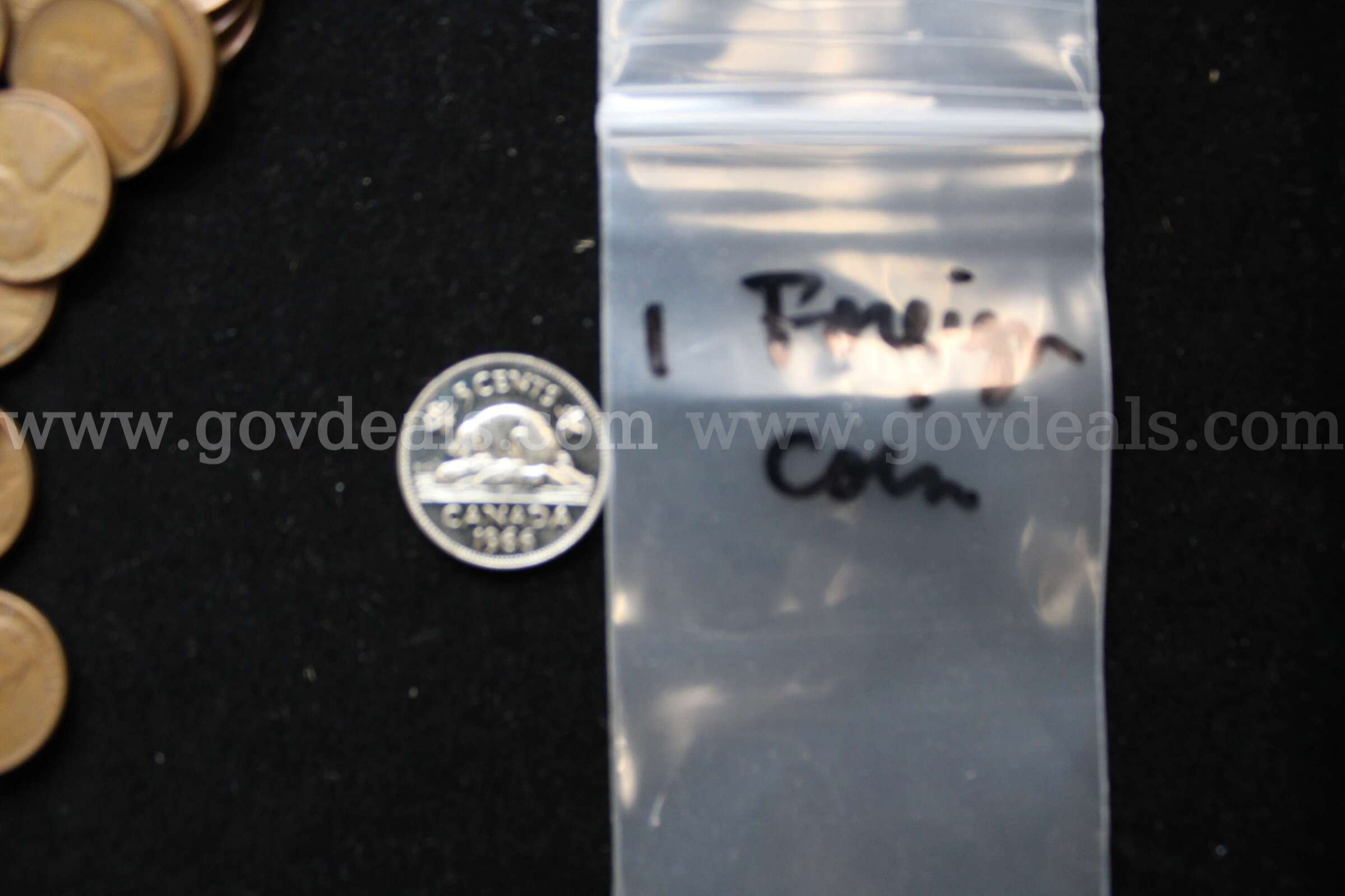 HALF $ (14); DIME (1); PENNY (100); FOREIGN COIN (1)  100 Government Surplus Auction - Photo #5