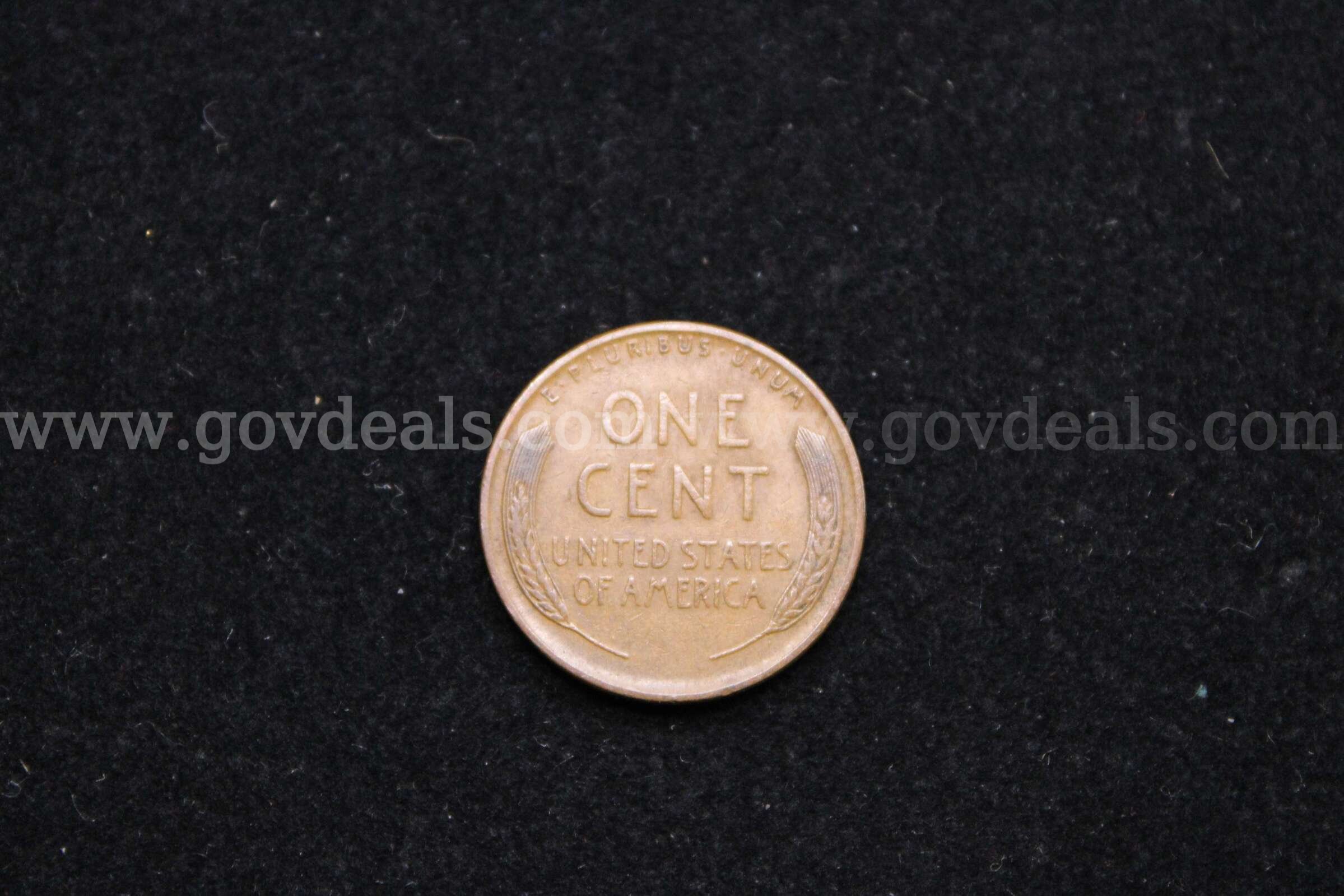 PENNY (1)   Government Surplus Auction - Photo #2