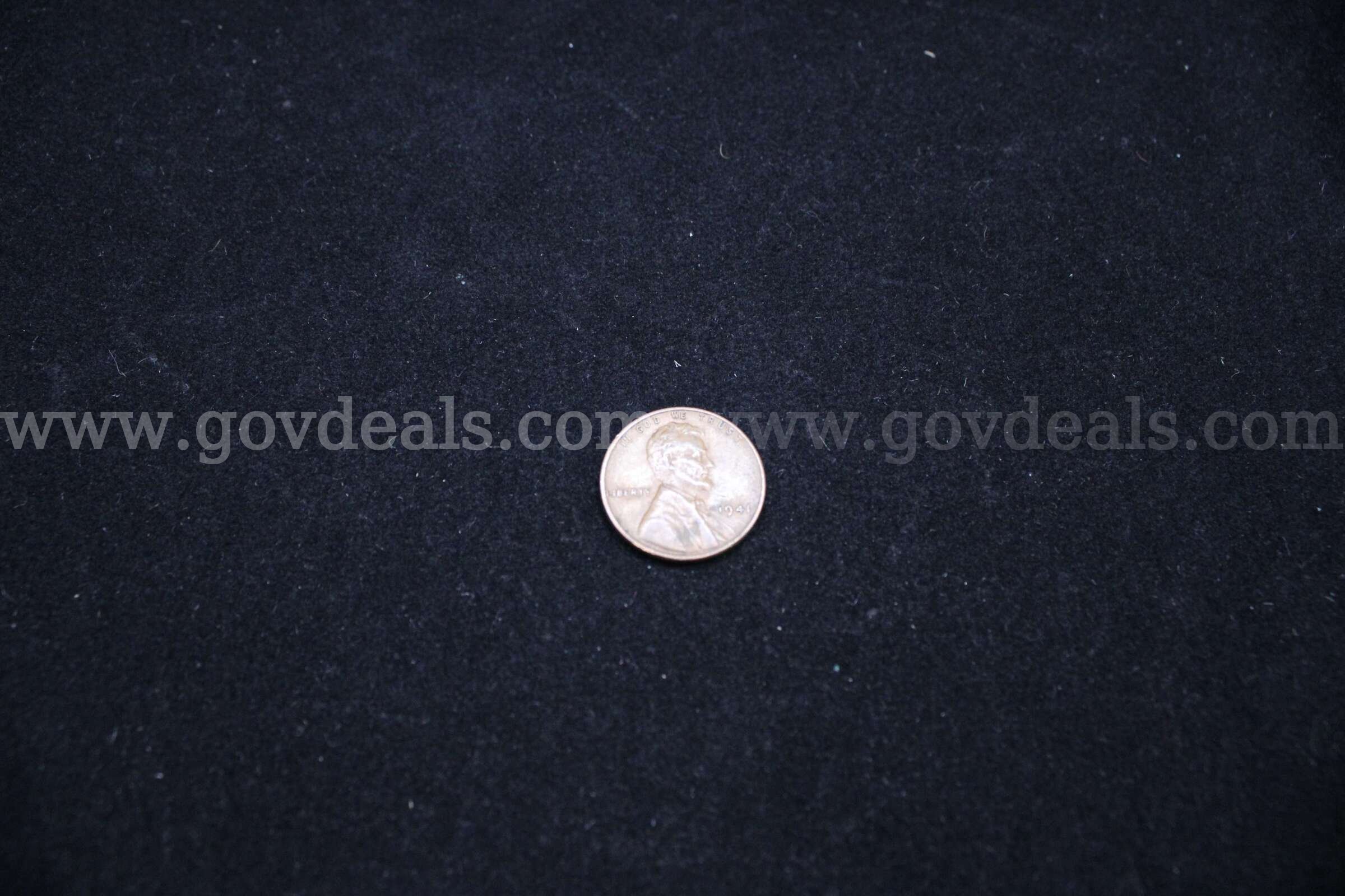 PENNY (1)   Government Surplus Auction - Photo #3