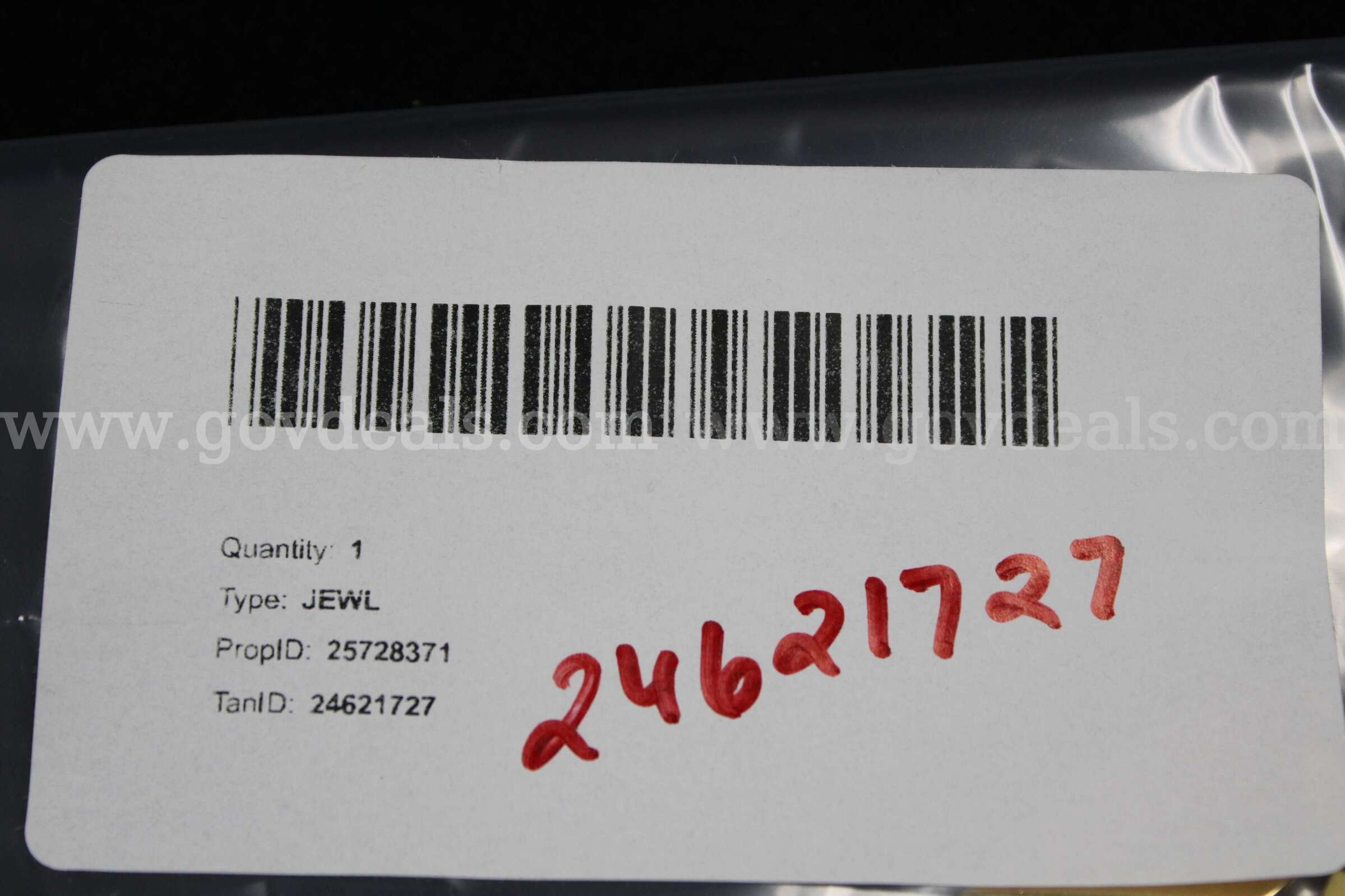 2 Pendants   Government Surplus Auction - Photo #2