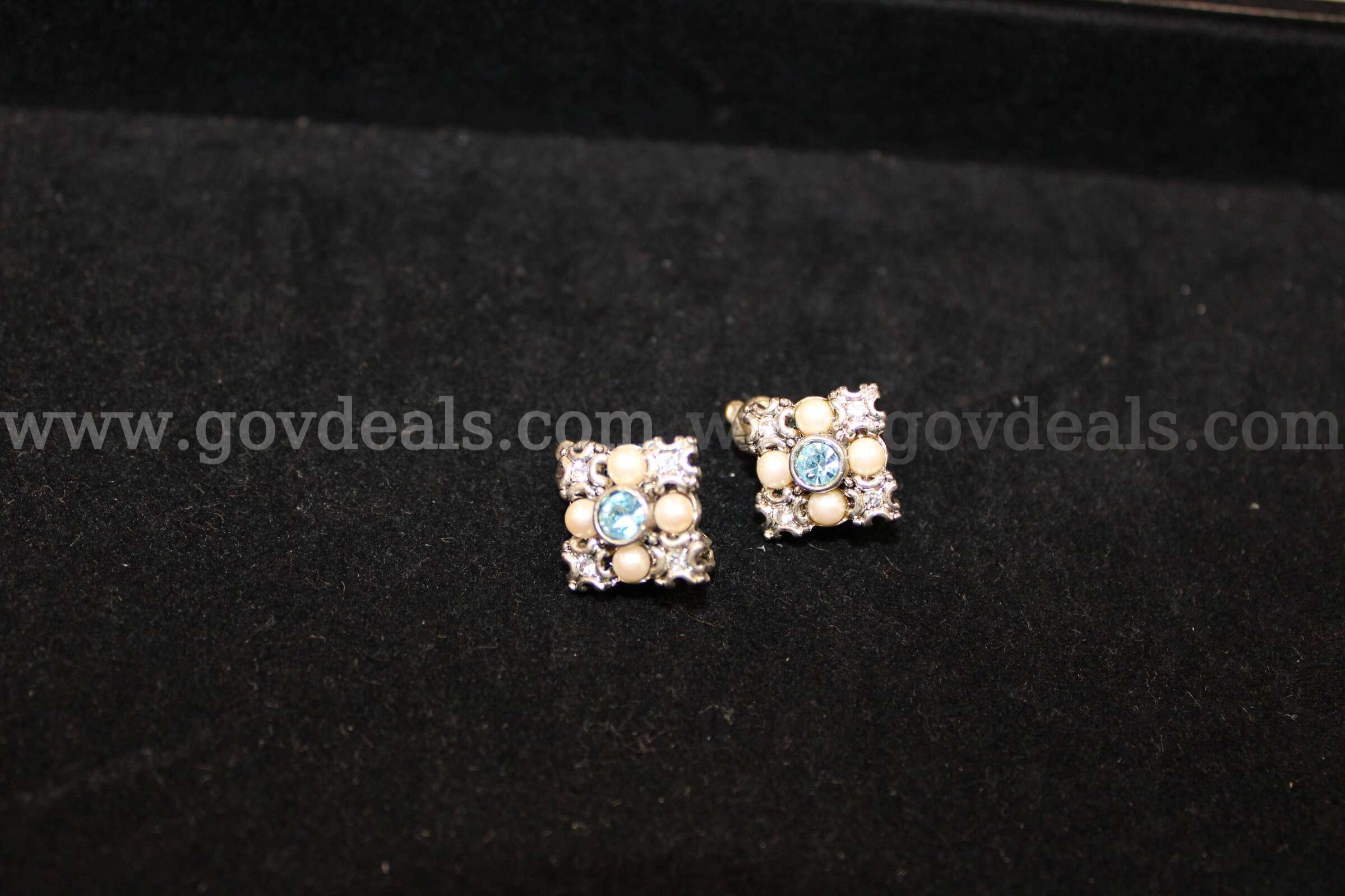 1 Pair Earrings   Government Surplus Auction - Primary Photo