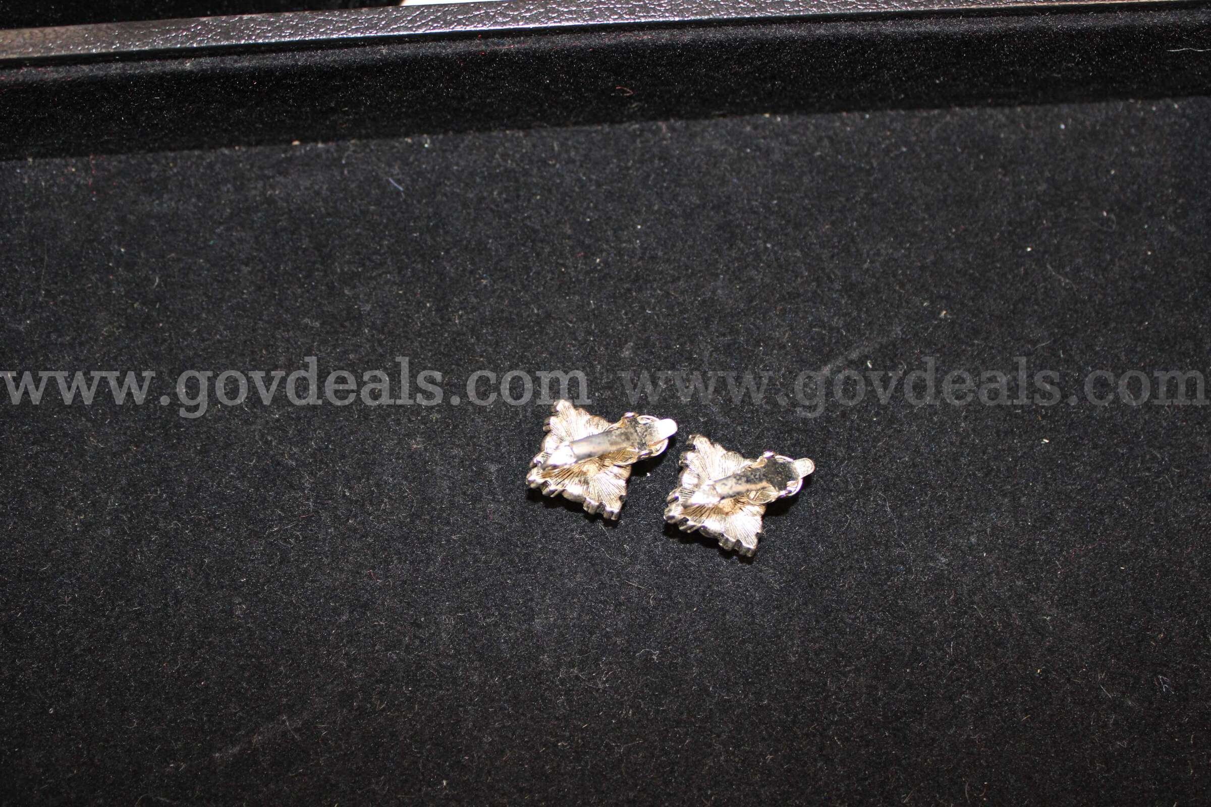 1 Pair Earrings   Government Surplus Auction - Photo #2