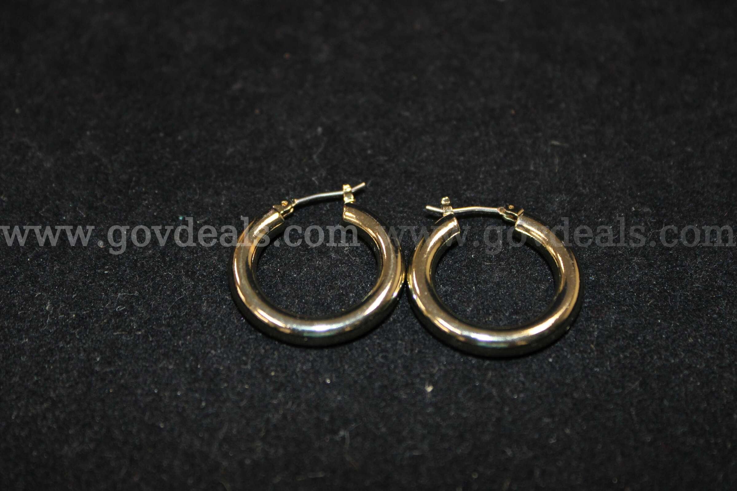 1 Pair Earrings   Government Surplus Auction - Primary Photo