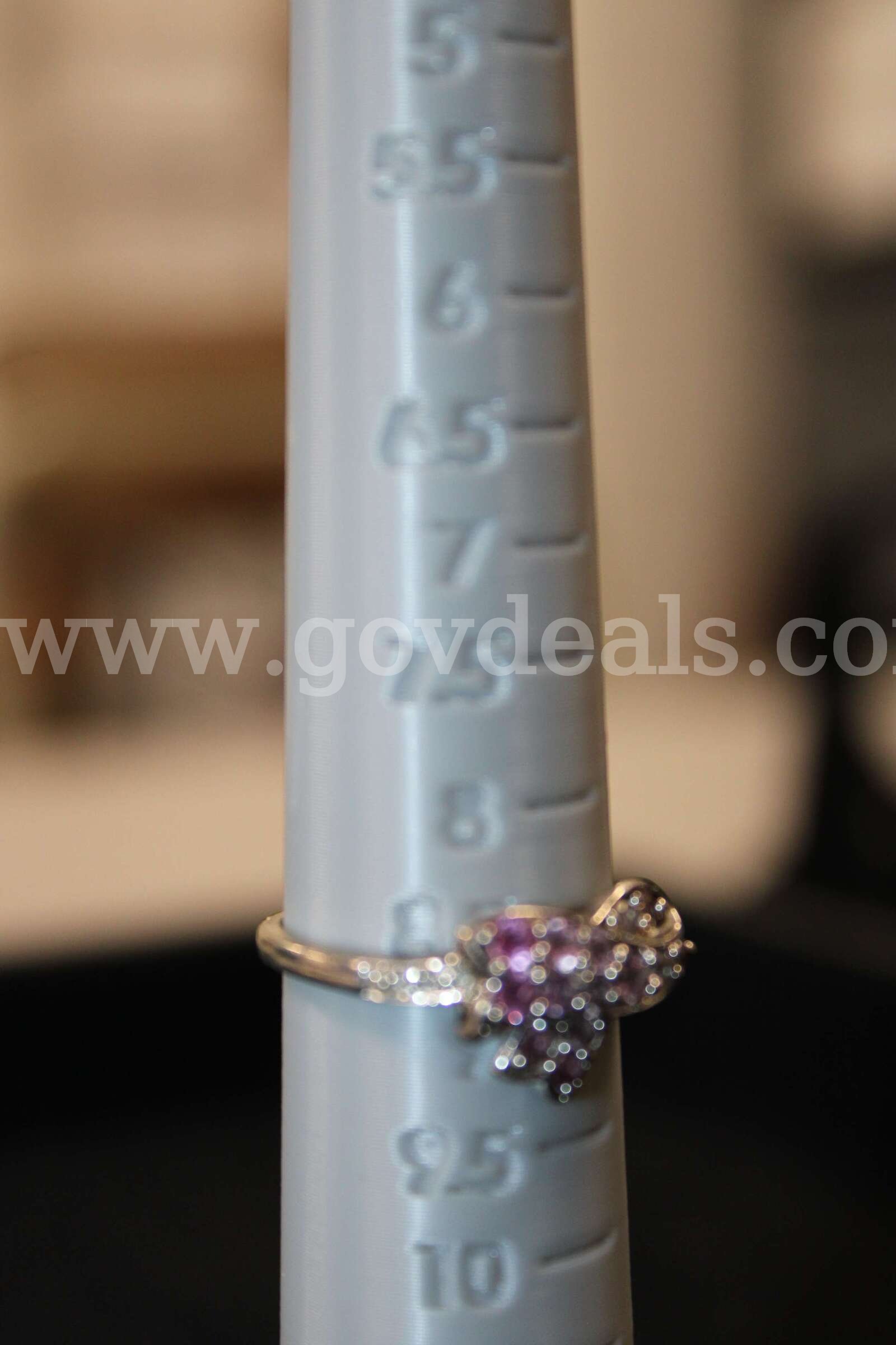 Necklace (1)  Charm (1) Ring (2) Pouch (1)   Government Surplus Auction - Photo #4