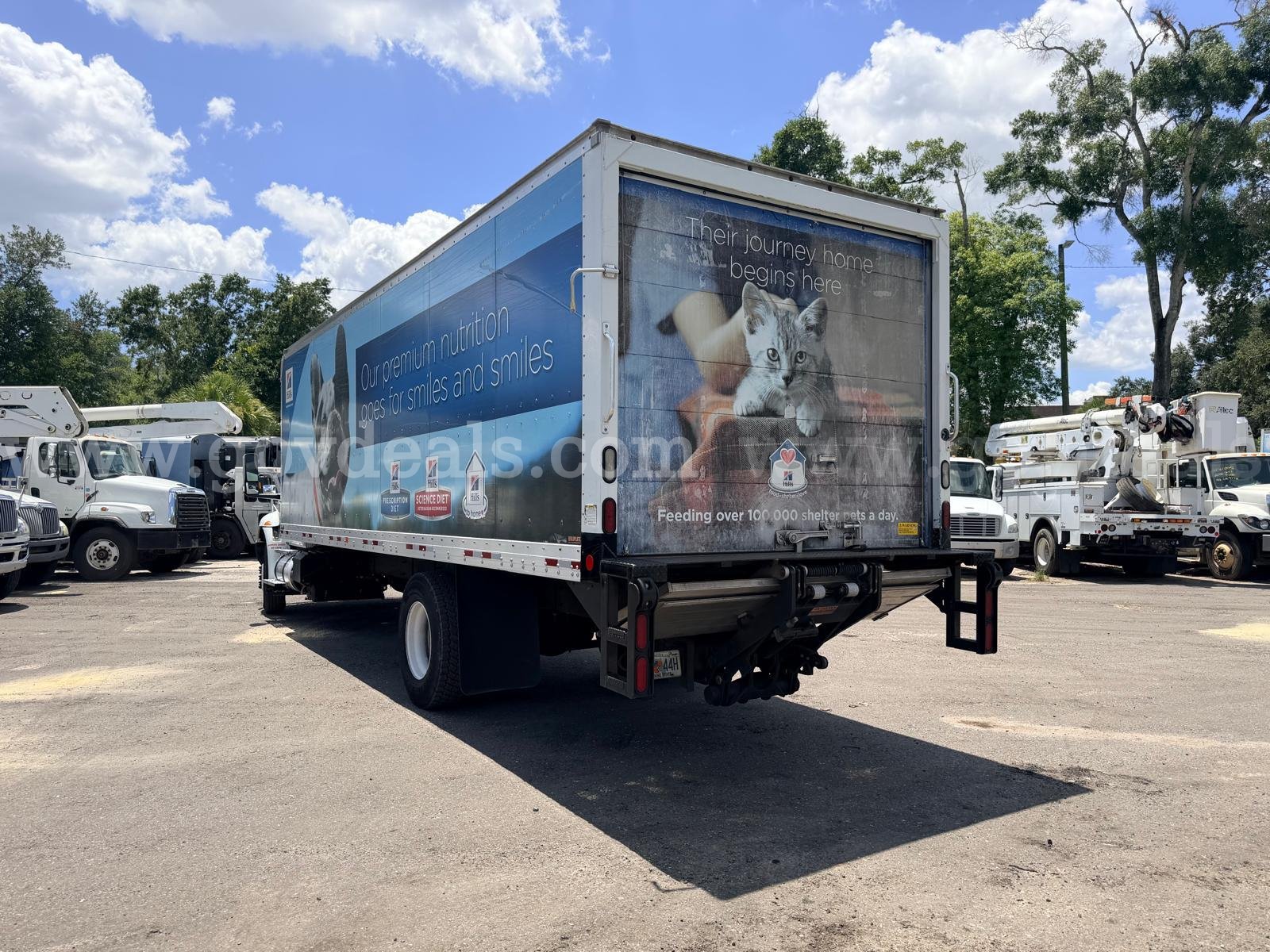 2020 International MV607 S/A Box Truck International MV607 Government Surplus Auction - Photo #3