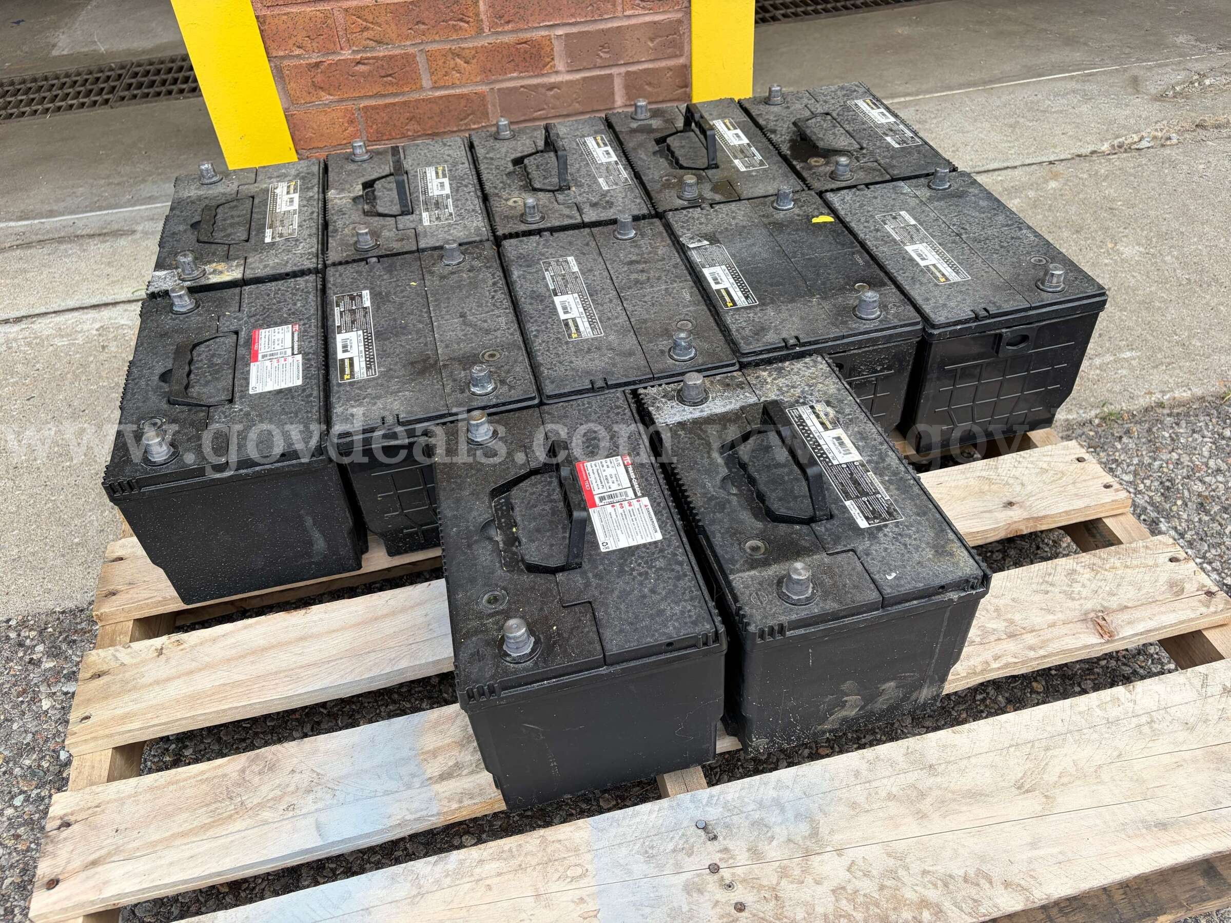 Lot of 12 x Trans-Canada 12volt Batteries