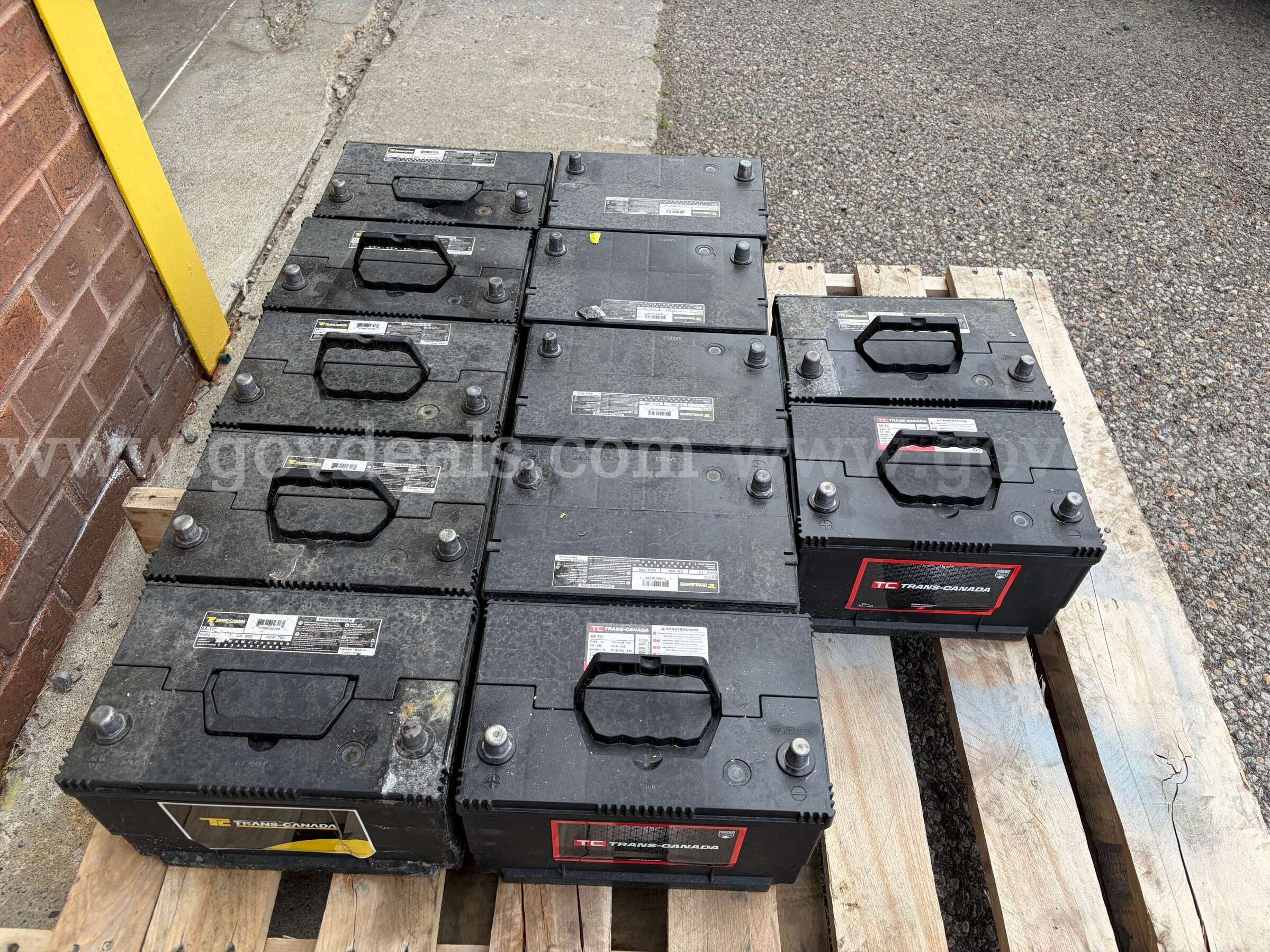 Lot of 12 x Trans-Canada 12volt Batteries   Government Surplus Auction - Photo #2
