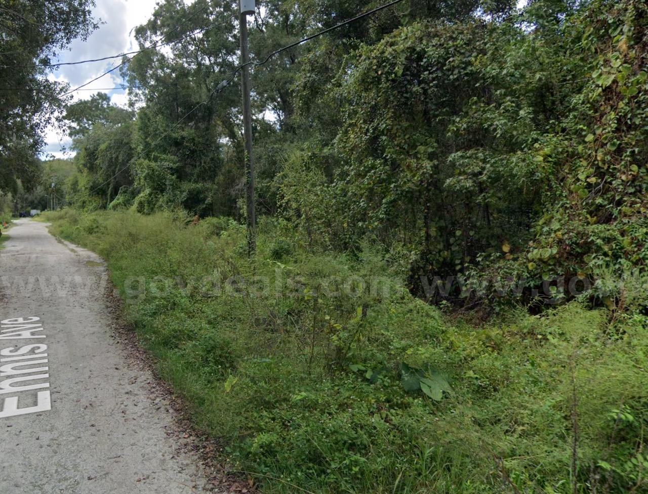 Double Parcel in New Port Ritchey, FL   Government Surplus Auction - Photo #2