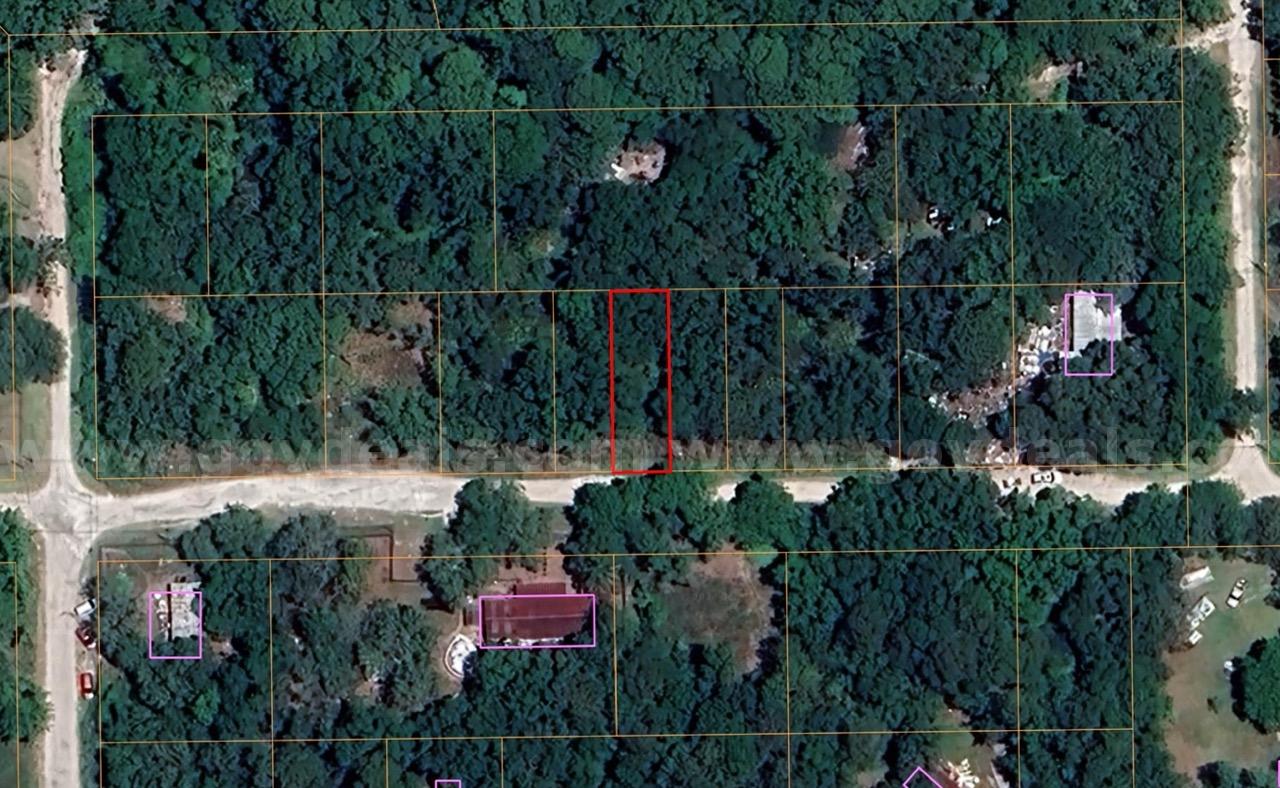 Double Parcel in New Port Ritchey, FL   Government Surplus Auction - Photo #3