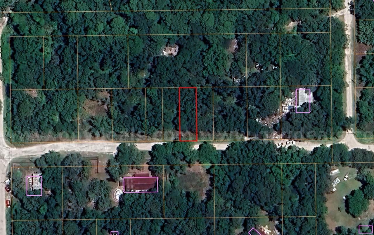 Double Parcel in New Port Ritchey, FL   Government Surplus Auction - Photo #4