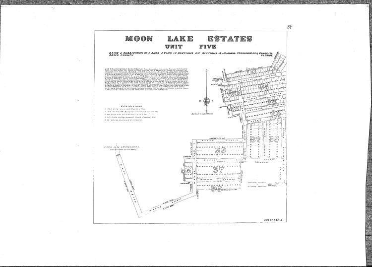 Double Parcel in New Port Ritchey, FL   Government Surplus Auction - Photo #5