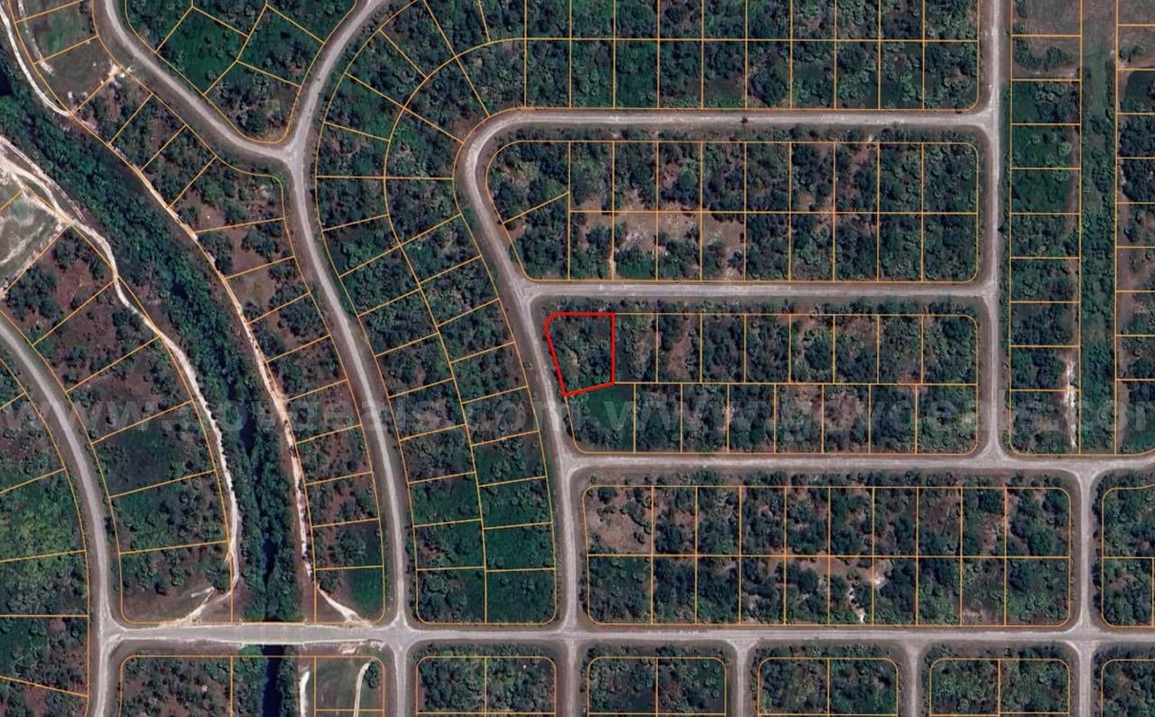 Undeveloped, Residential Corner Lot in North Port, FL   Government Surplus Auction - Photo #5