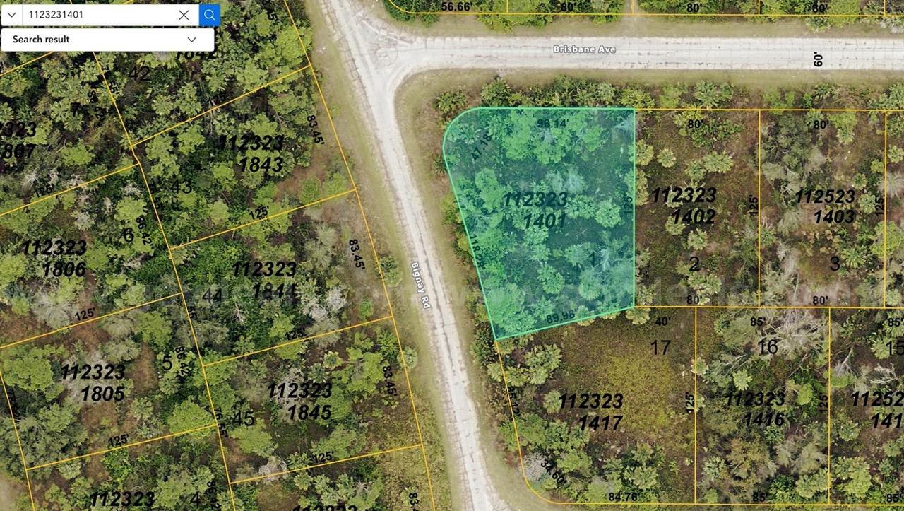 Undeveloped, Residential Corner Lot in North Port, FL   Government Surplus Auction - Photo #6