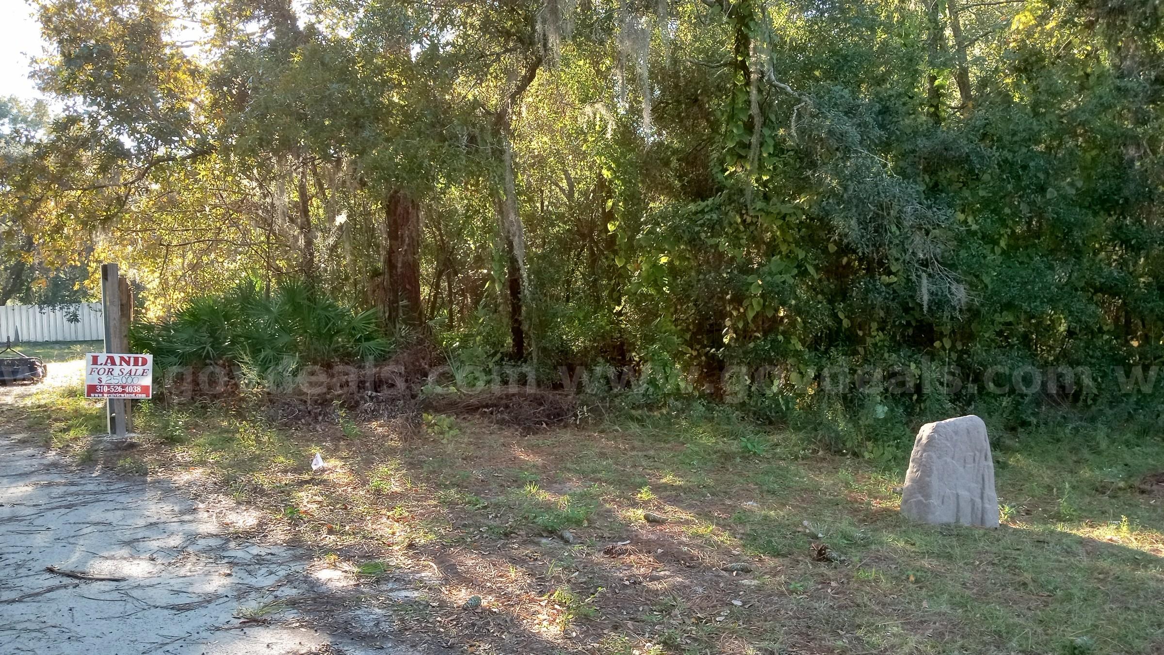 Vacant Half-Acre in a Cul de Sac in Crystal River, FL   Government Surplus Auction - Photo #3