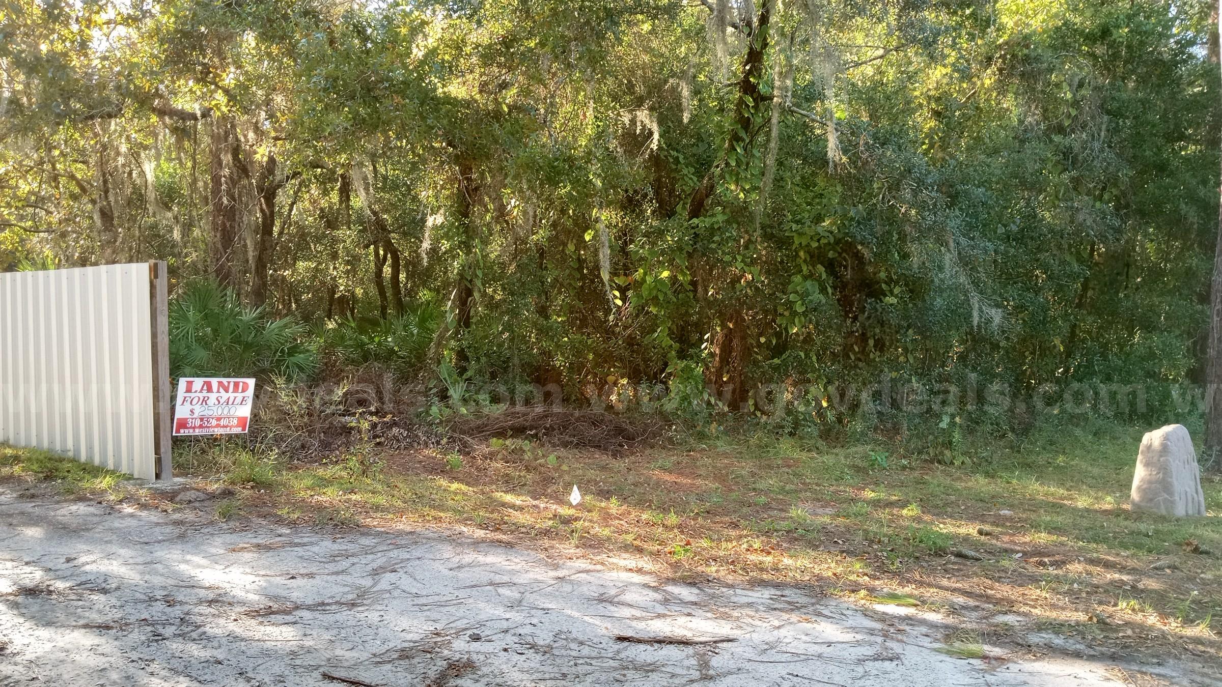 Vacant Half-Acre in a Cul de Sac in Crystal River, FL   Government Surplus Auction - Photo #4