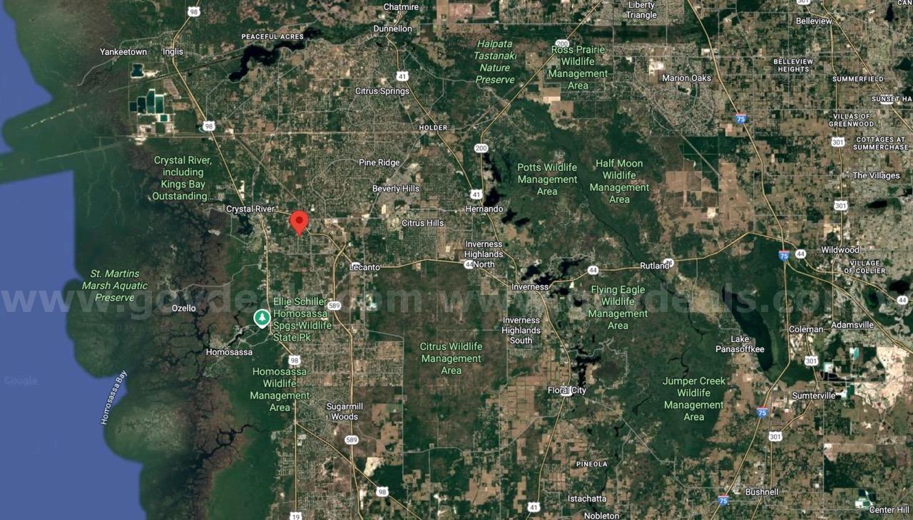 Vacant Half-Acre in a Cul de Sac in Crystal River, FL   Government Surplus Auction - Photo #5