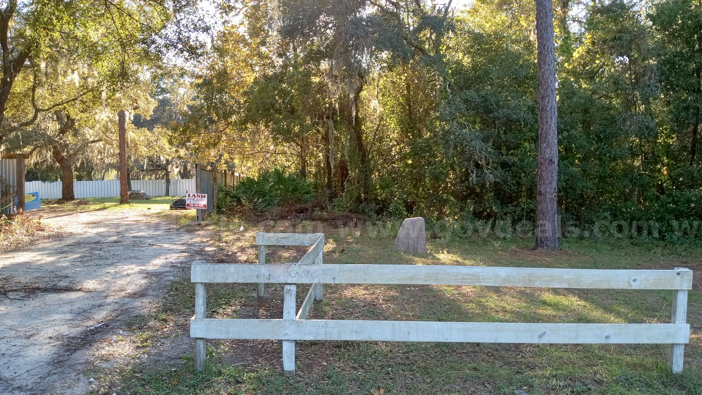 Vacant Half-Acre in a Cul de Sac in Crystal River, FL   Government Surplus Auction - Photo #6