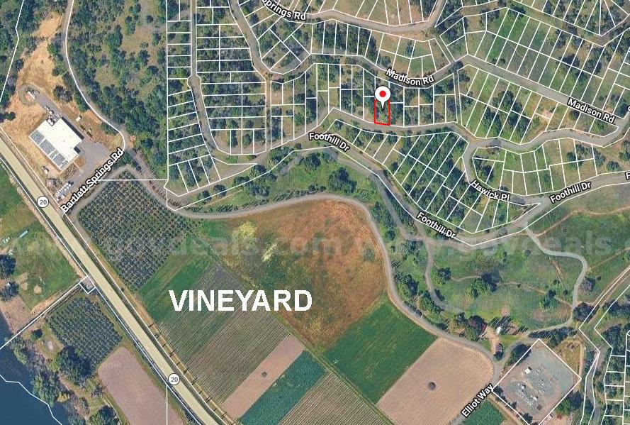 Clearlake, California - Panoramic, Lake View Lot Overlooking Vineyard!   Government Surplus Auction - Photo #6