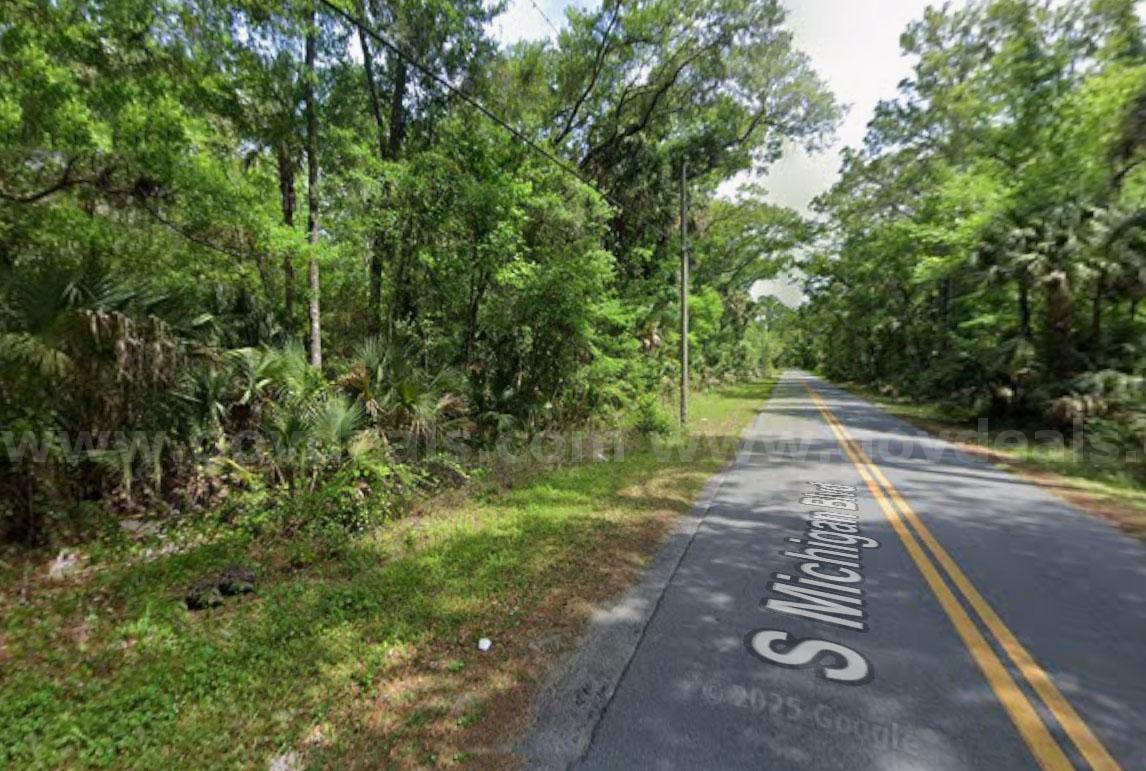 Homosassa, Florida - Res Lot - Mobile Homes Allowed - Near Homosassa Springs!   Government Surplus Auction - Photo #3