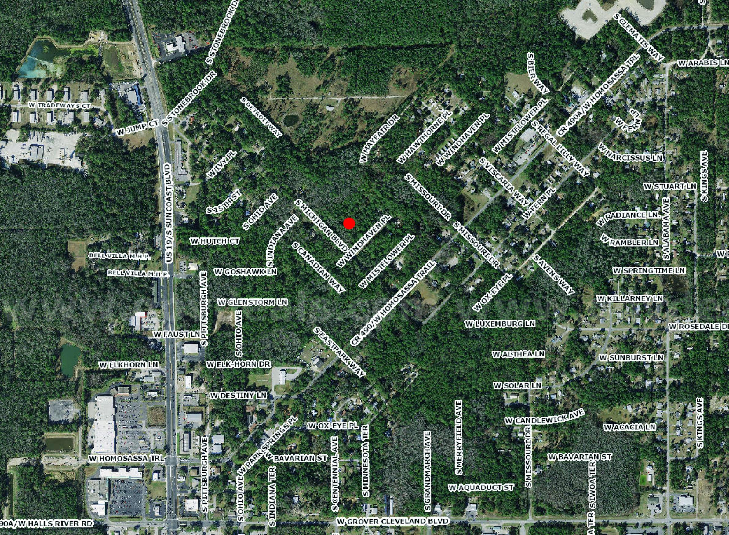 Homosassa, Florida - Res Lot - Mobile Homes Allowed - Near Homosassa Springs!   Government Surplus Auction - Photo #5