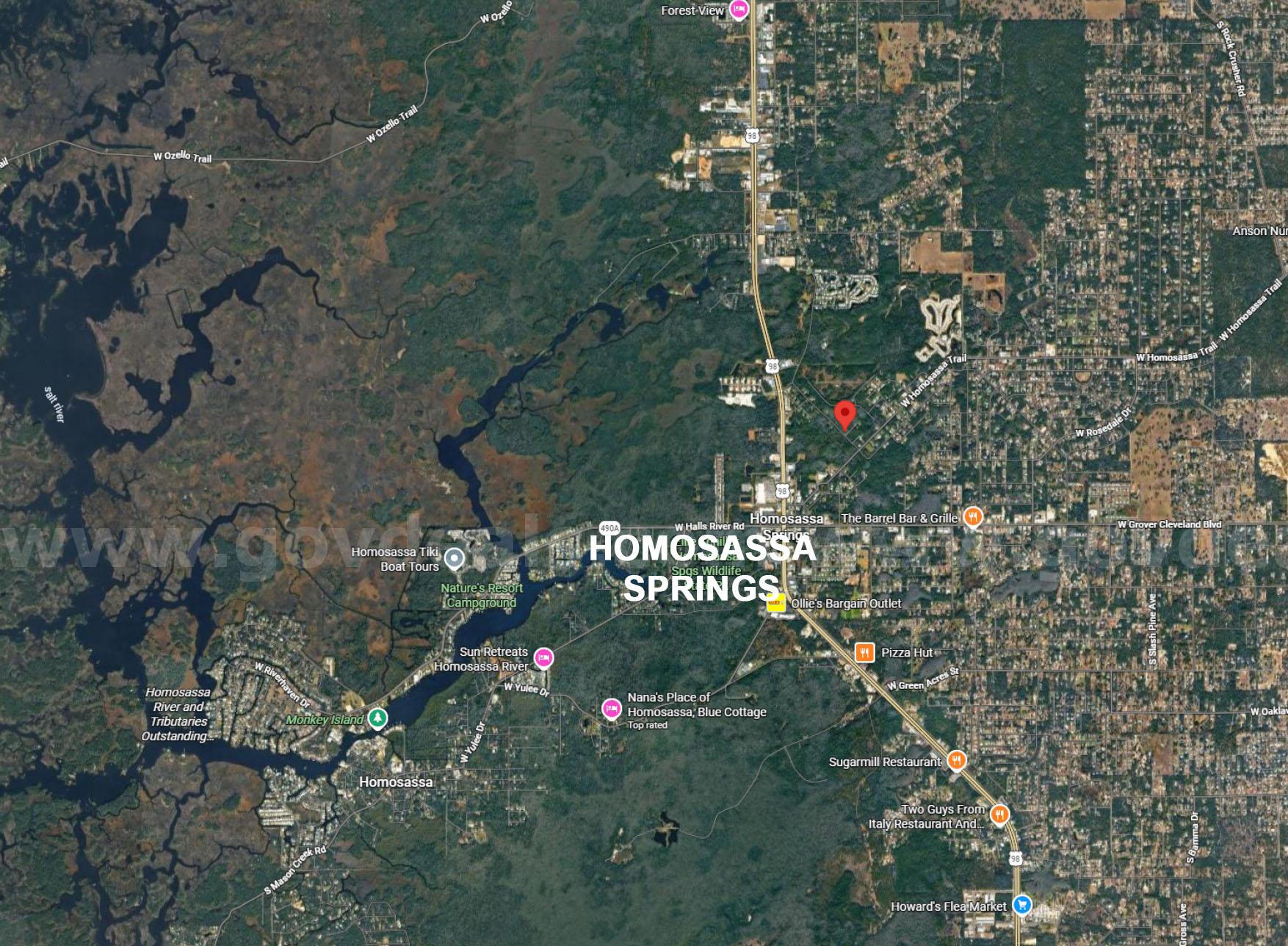 Homosassa, Florida - Res Lot - Mobile Homes Allowed - Near Homosassa Springs!   Government Surplus Auction - Photo #6