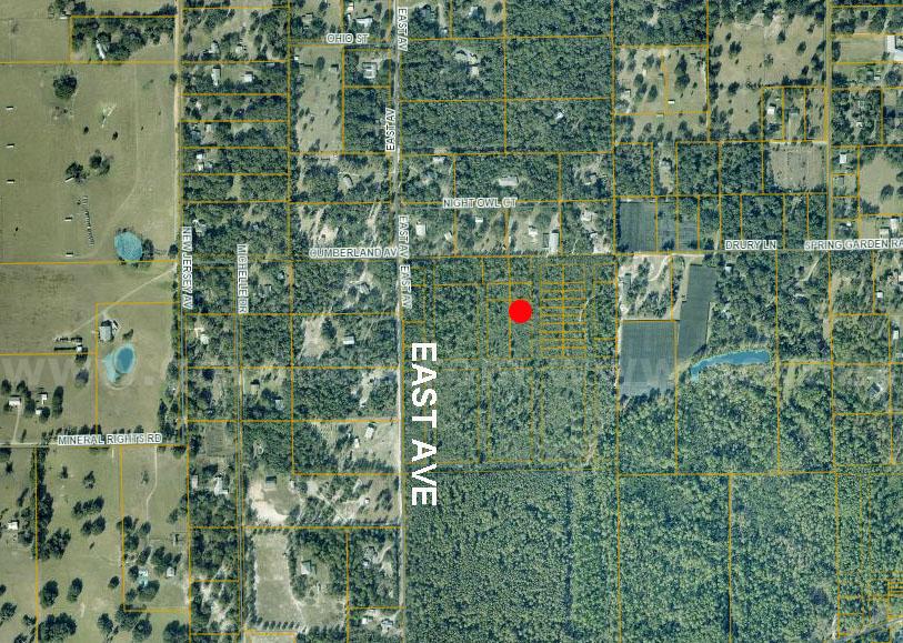 DeLeon Springs, Florida - 2 Adjoining Res Lots in Volusia County   Government Surplus Auction - Photo #2