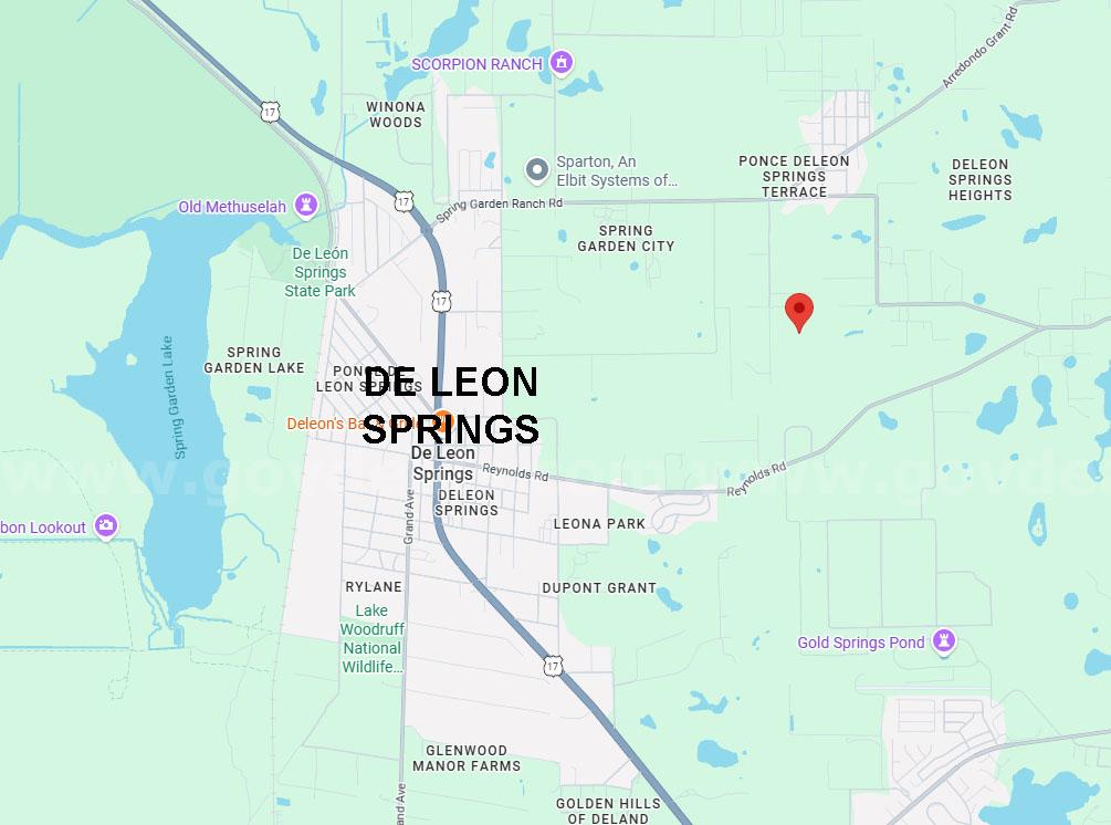 DeLeon Springs, Florida - 2 Adjoining Res Lots in Volusia County   Government Surplus Auction - Photo #3