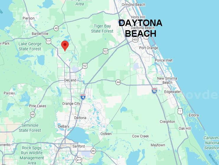 DeLeon Springs, Florida - 2 Adjoining Res Lots in Volusia County   Government Surplus Auction - Photo #4