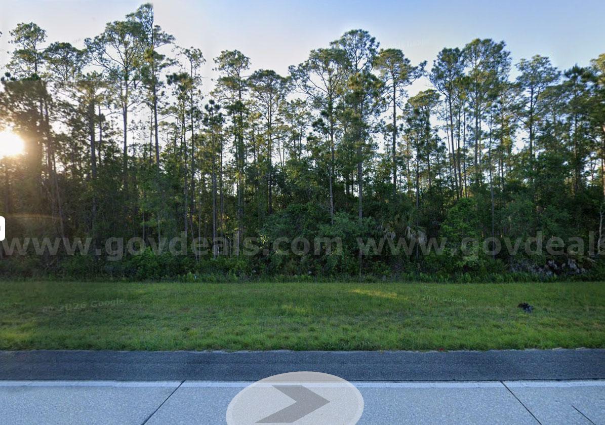 Daytona Beach, Florida - Res Lot off Intl Speedway Blvd International  Government Surplus Auction - Photo #2