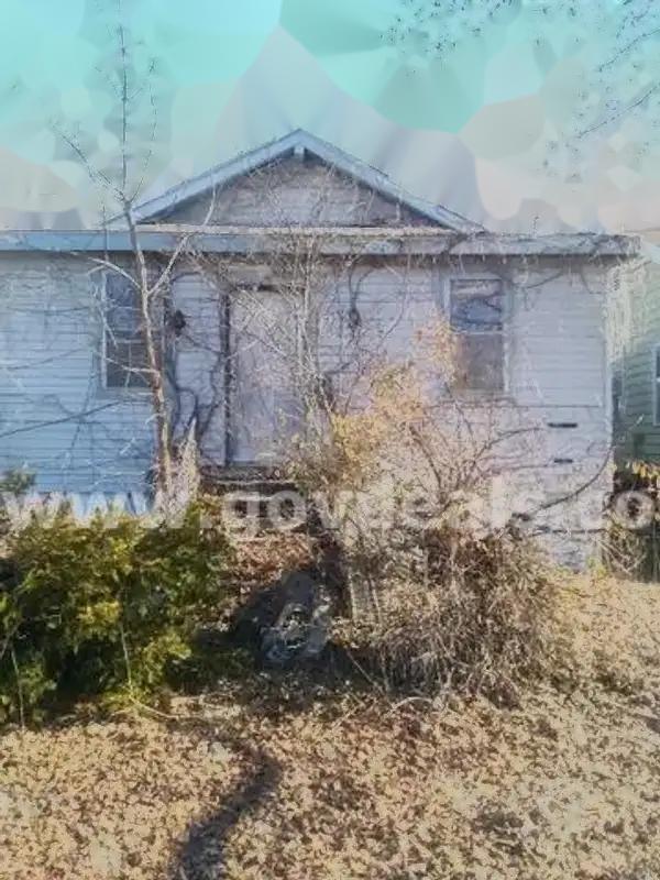 Attention Investors: Discounted Single-Family Vacant House For Sale in Cairo, IL   Government Surplus Auction - Primary Photo
