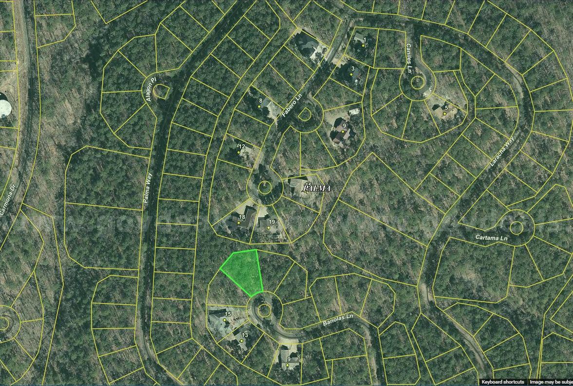 Rare Oversized Cul-De-Sac Lot – 0.307 Acres in Hot Springs Village Near Lake Cortez & Golf  307 Government Surplus Auction - Photo #5