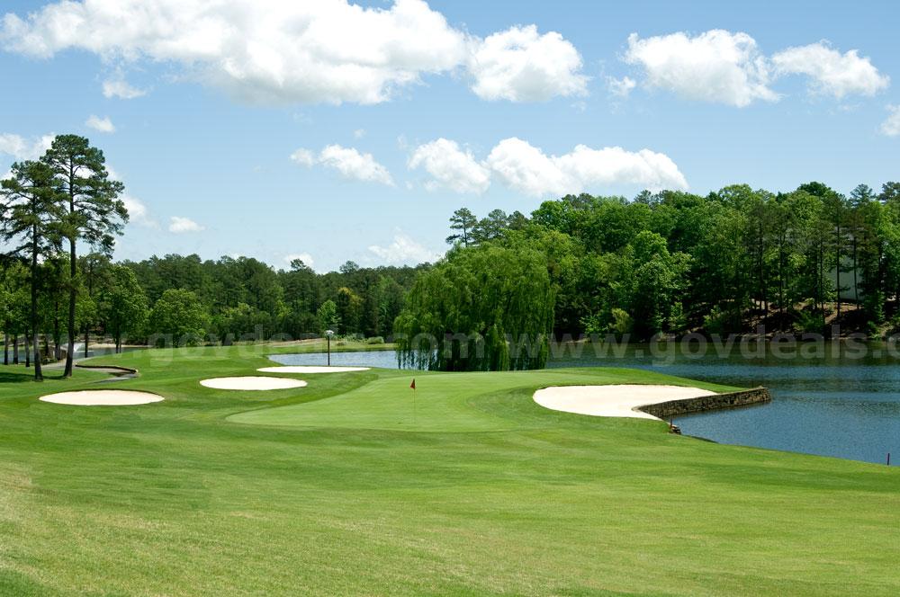 Priced for Immediate Liquidation – 0.27 Acre Infill Lot Near Lake Pineda & Golf Courses | Hot Springs Village   Government Surplus Auction - Photo #4