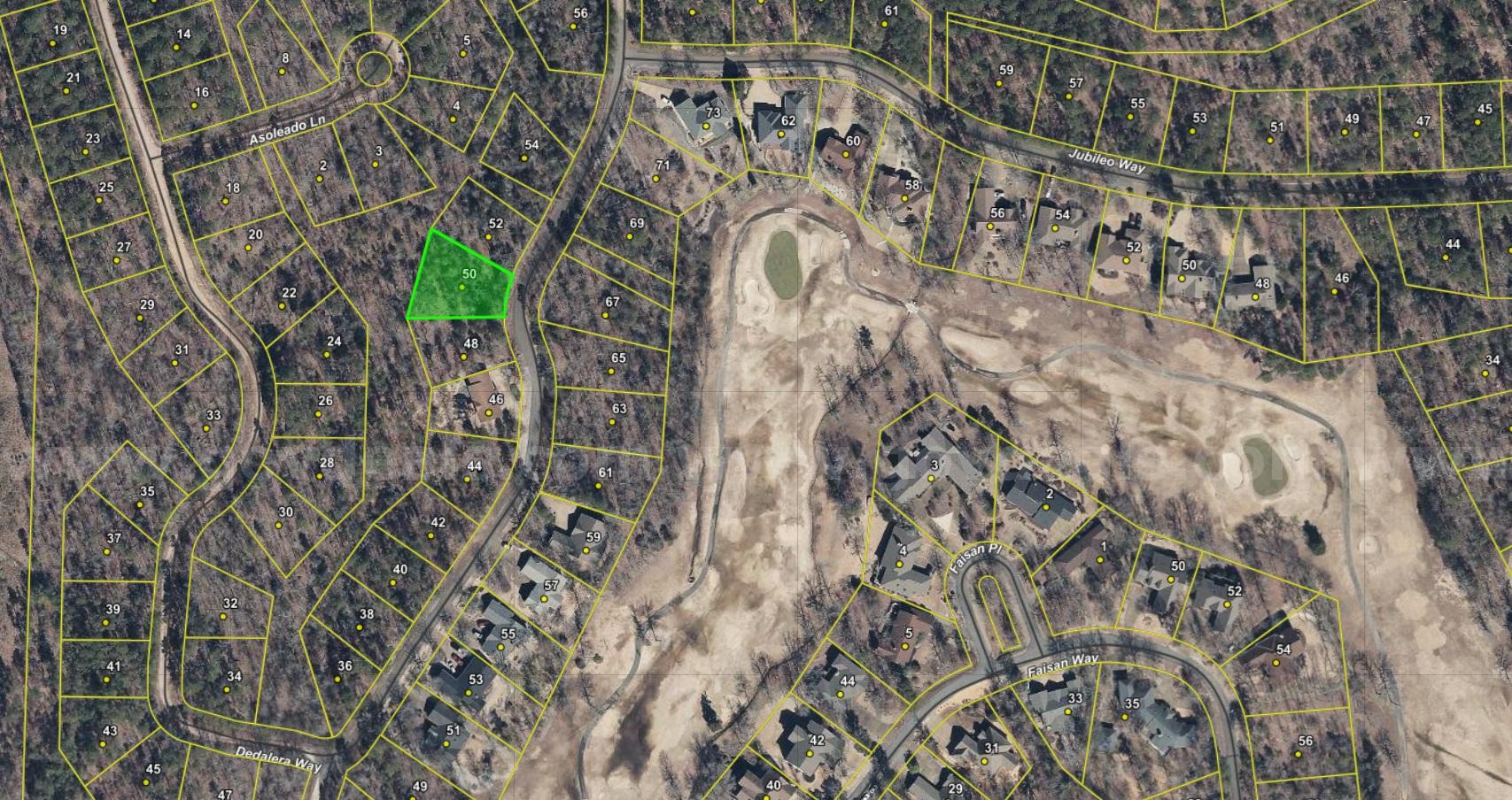 Incredible Value – Infill Lot in Dedalera Subdivision | Surrounded by Homes in Hot Springs Village. No Reserve Auction!   Government Surplus Auction - Photo #3