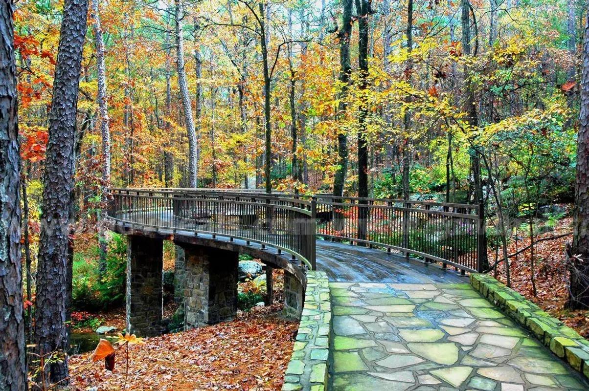 Immediate Liquidation – Infill Lot Near Lake Lago & Hiking Trails | Private Build-Ready Parcel in Hot Springs Village   Government Surplus Auction - Photo #2